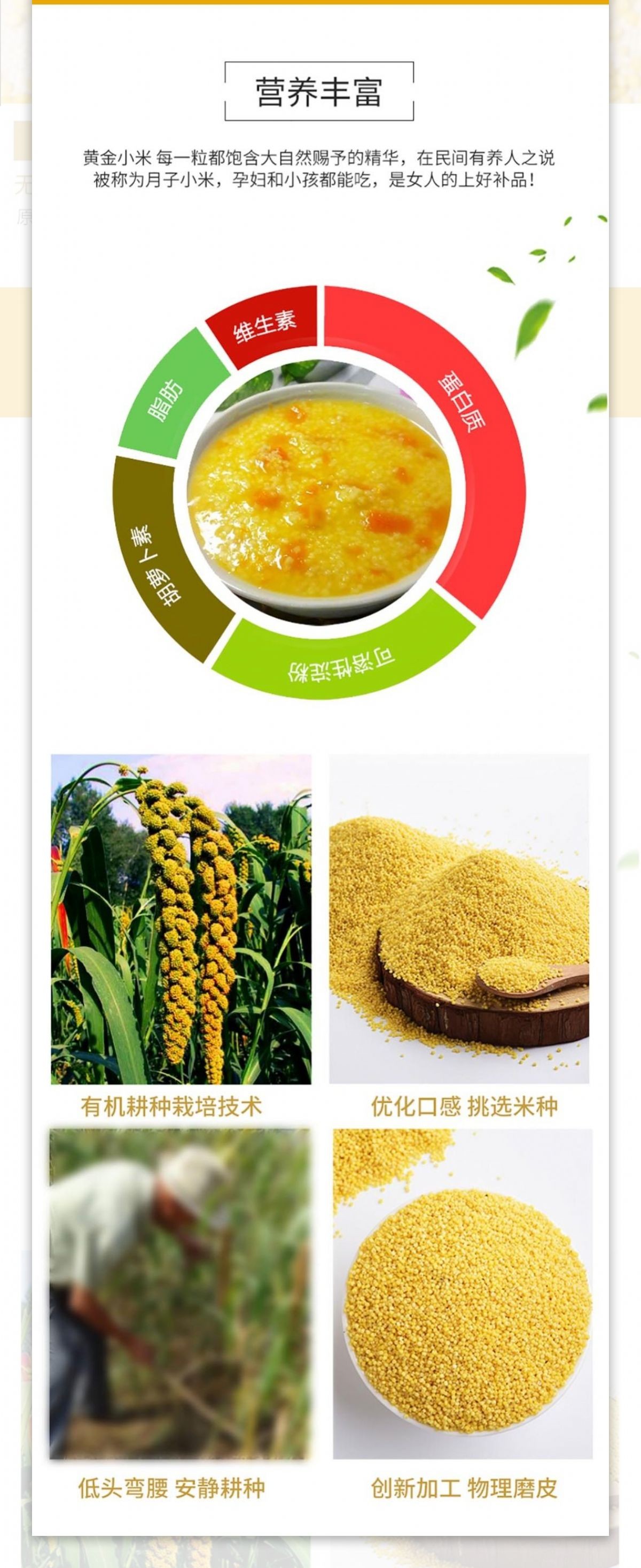 电商淘宝五谷杂粮小米详情页