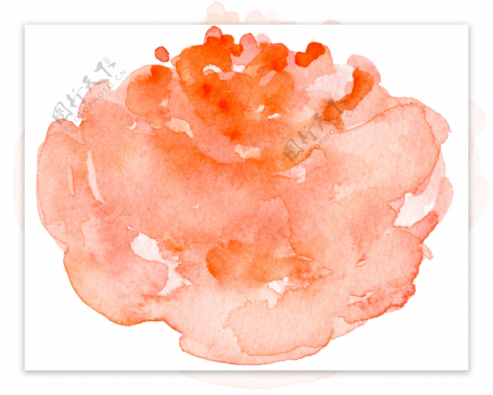 水红花蕊卡通透明素材