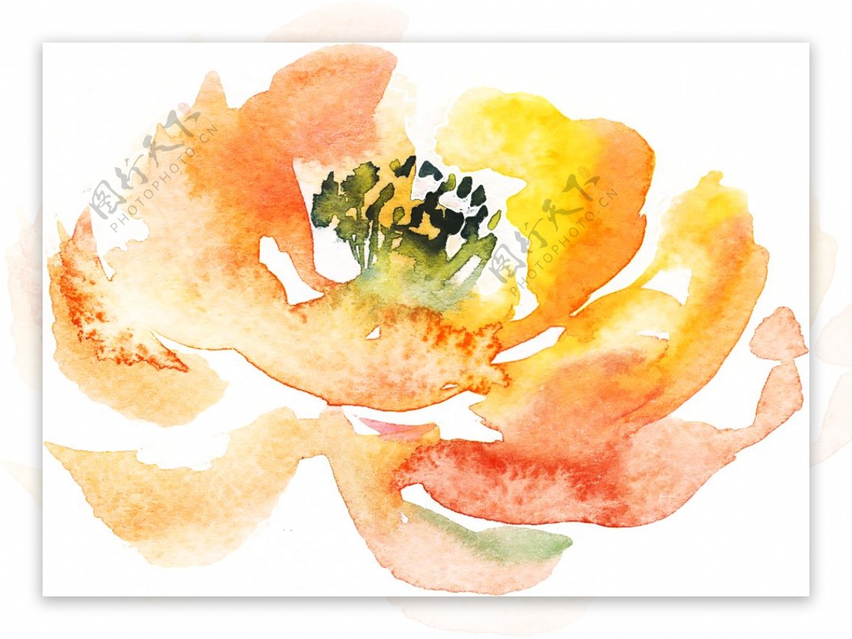 秋黄花瓣卡通透明素材