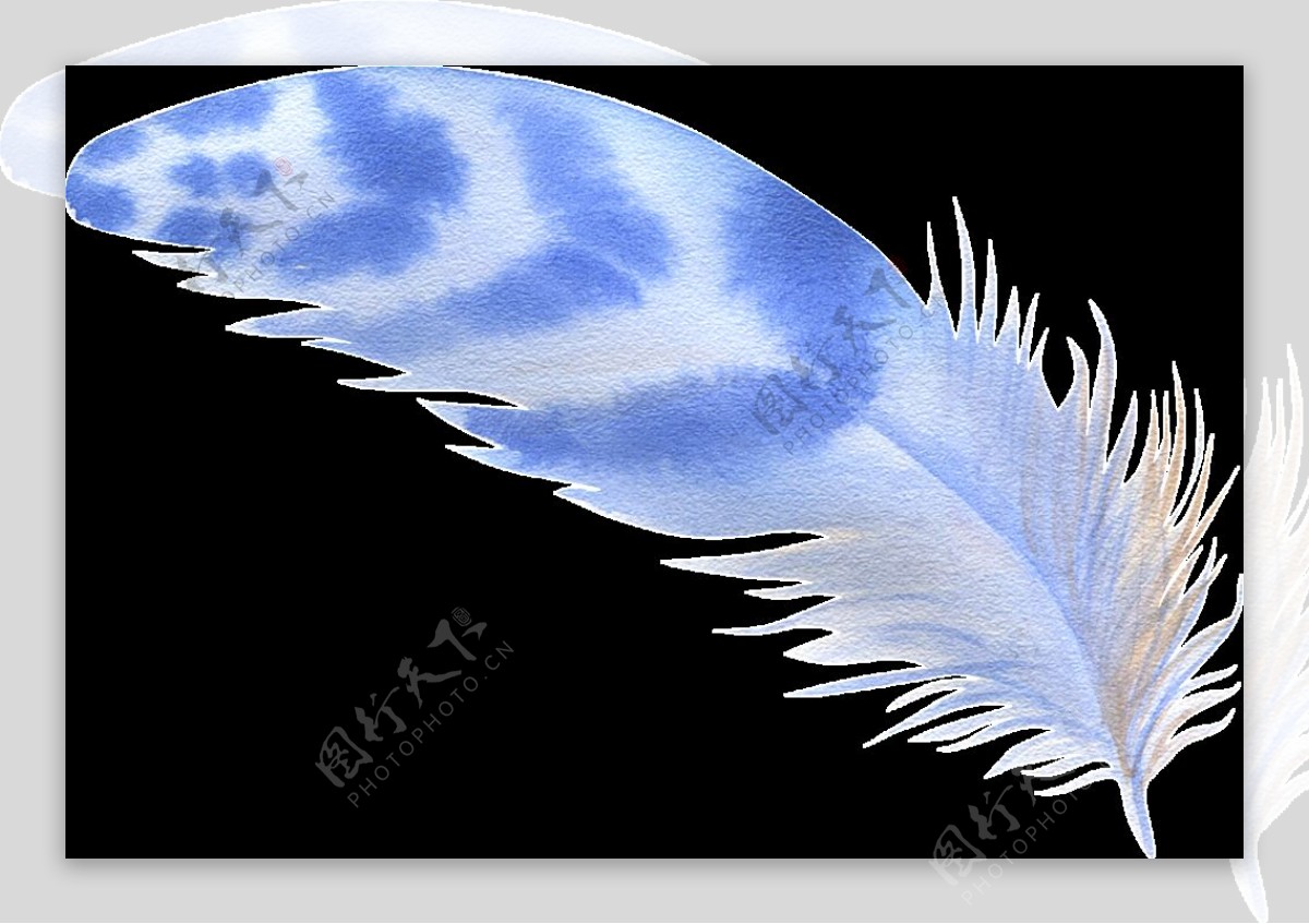 深蓝羽翼透明装饰素材