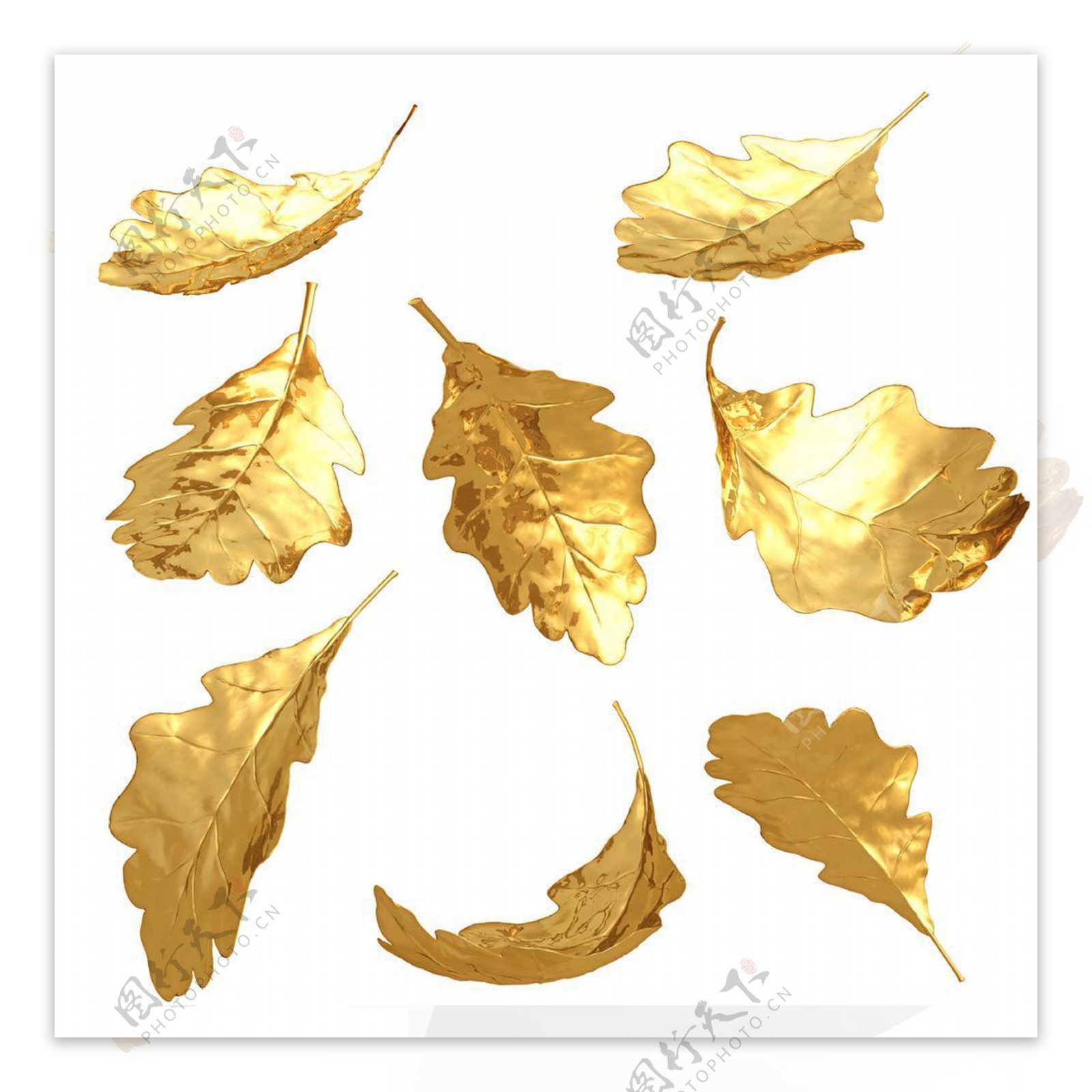 金色树叶透明素材