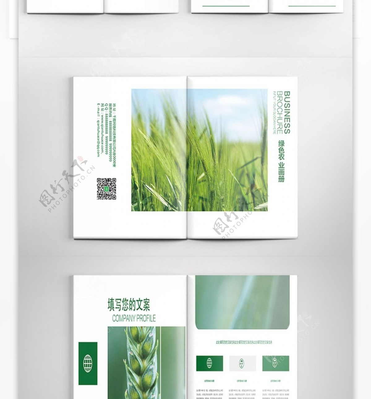 绿色农业产品画册PSD模板