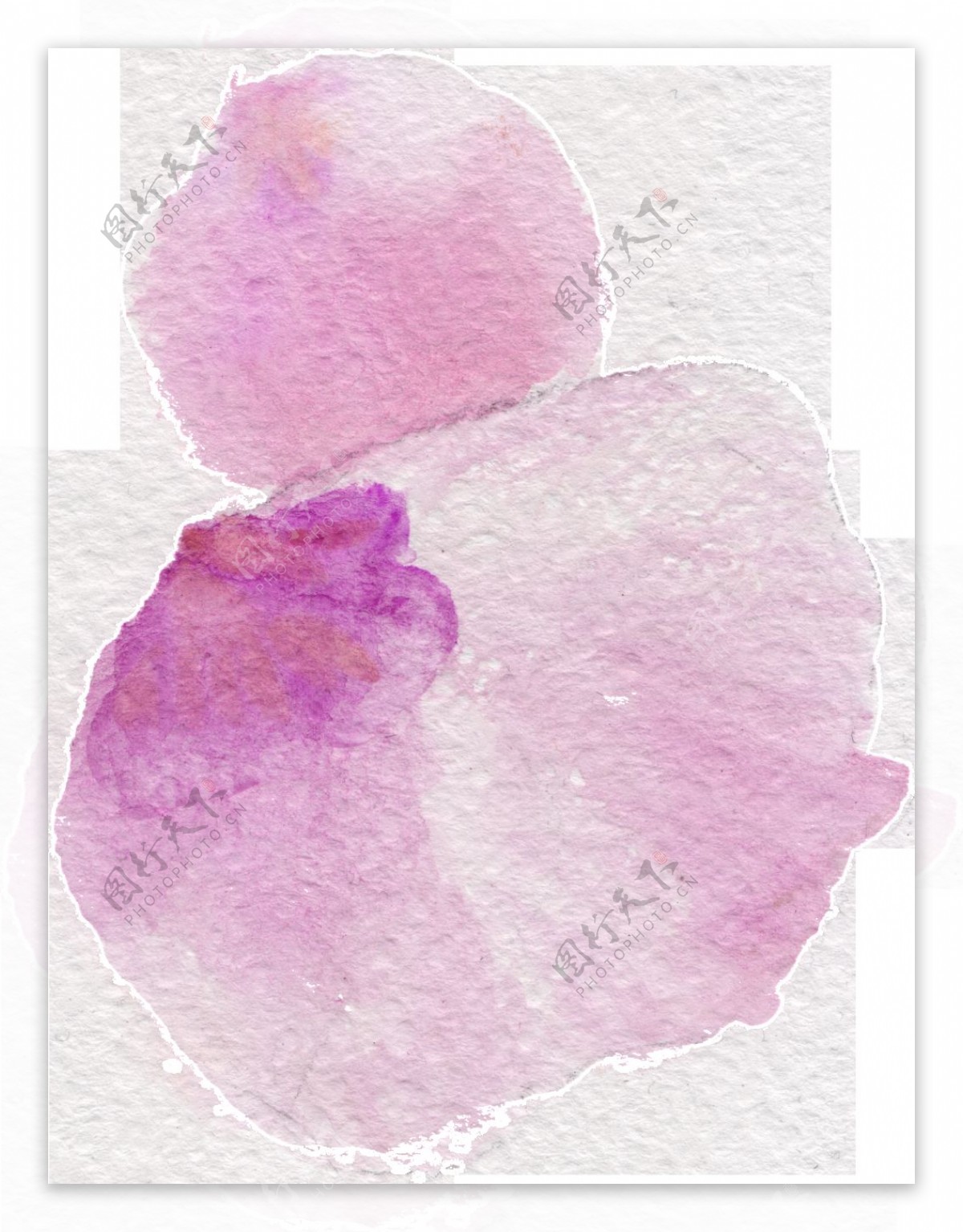 淡紫花瓣透明装饰素材