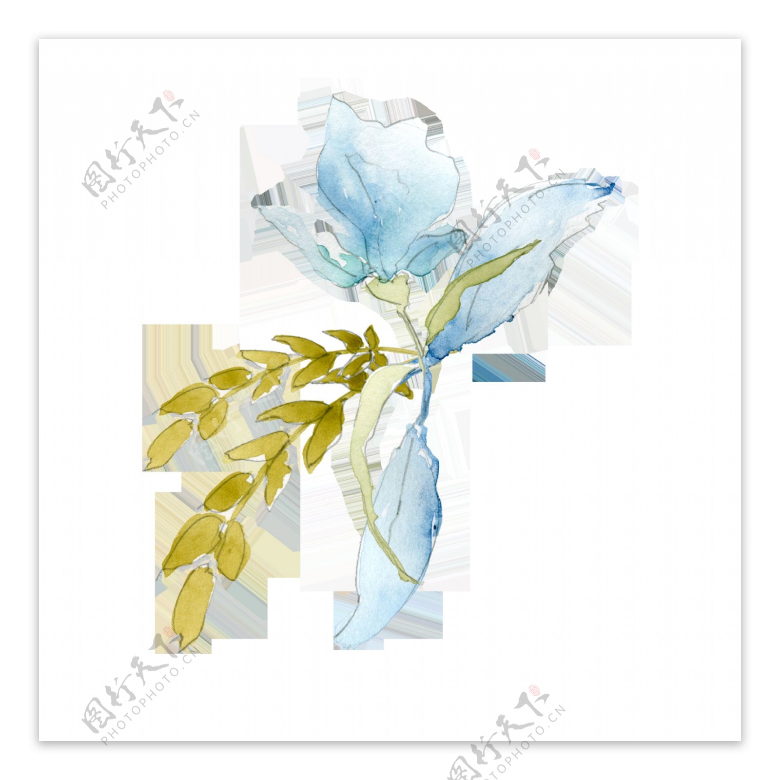 天蓝花瓣透明装饰素材