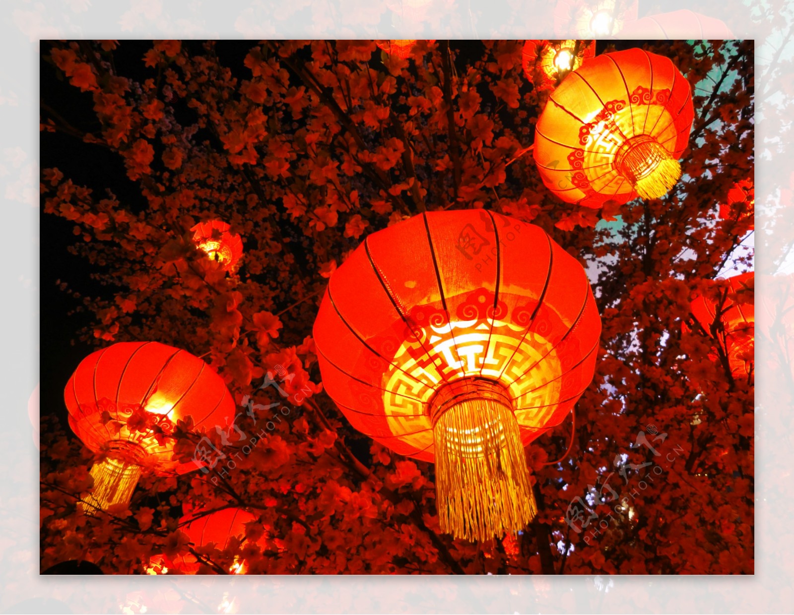 新年春节红灯笼