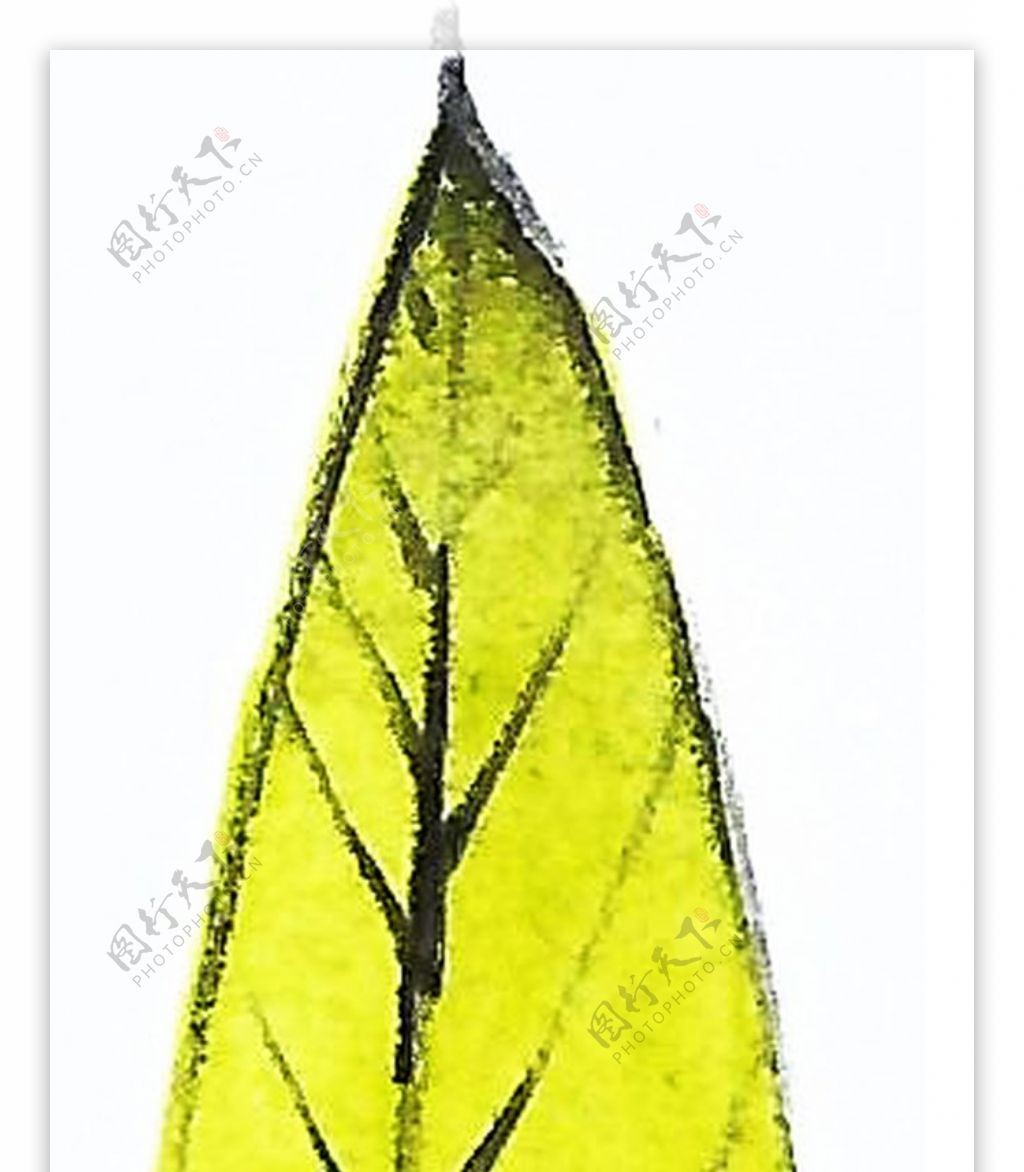晶黄花叶透明装饰素材