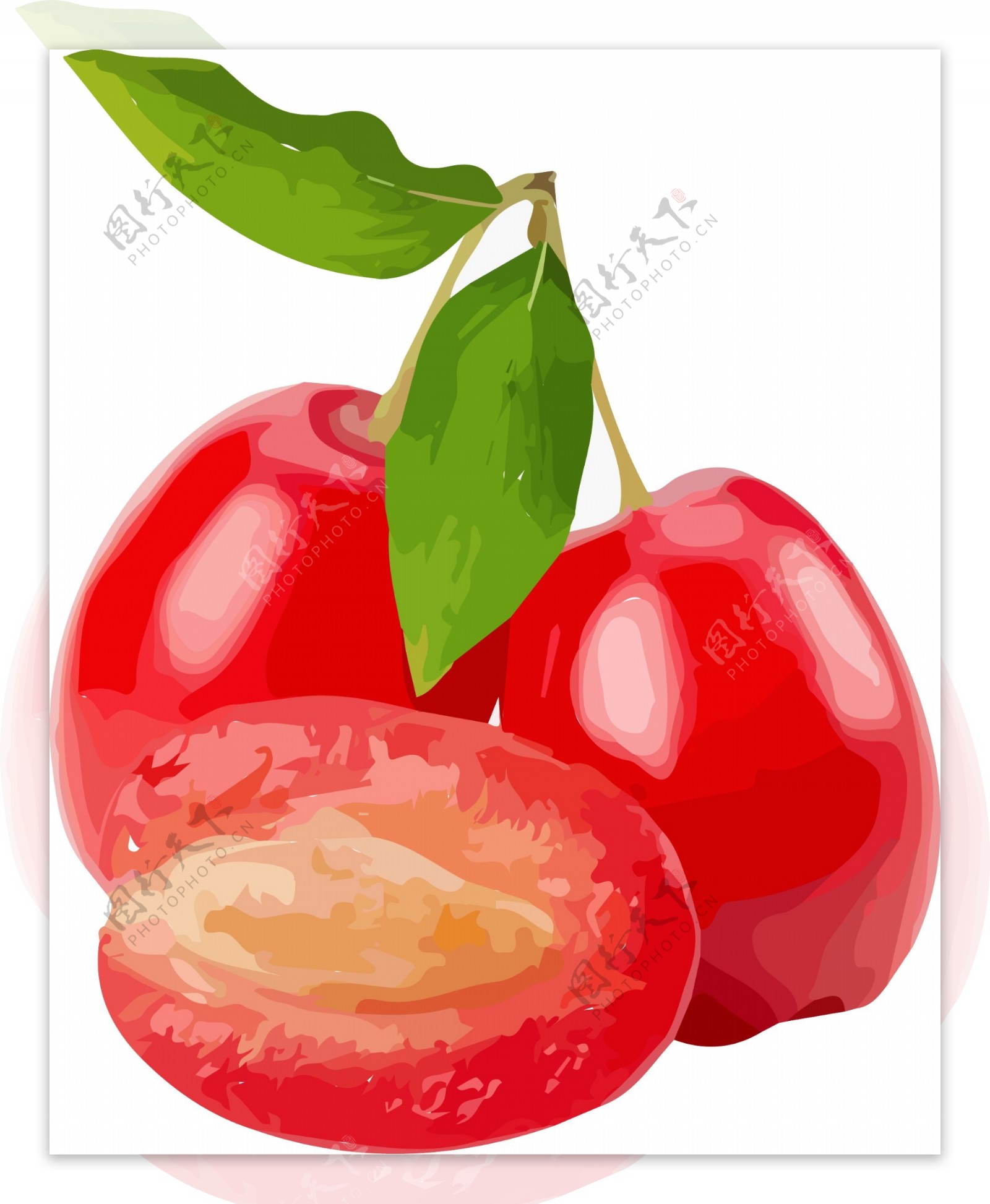 插画手绘红色圣女果水果素材水果元素
