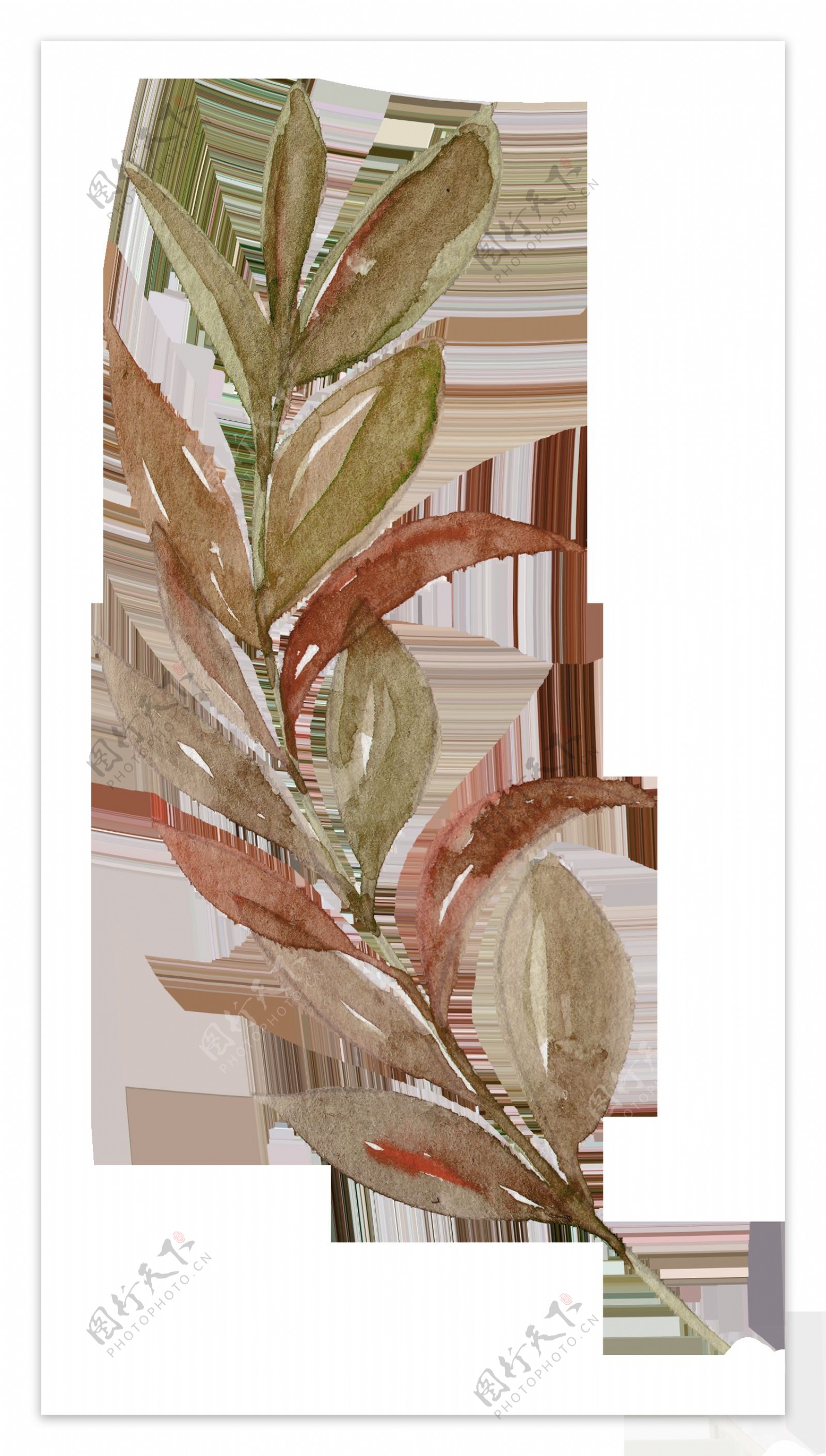 一株手绘棕色树枝装饰素材