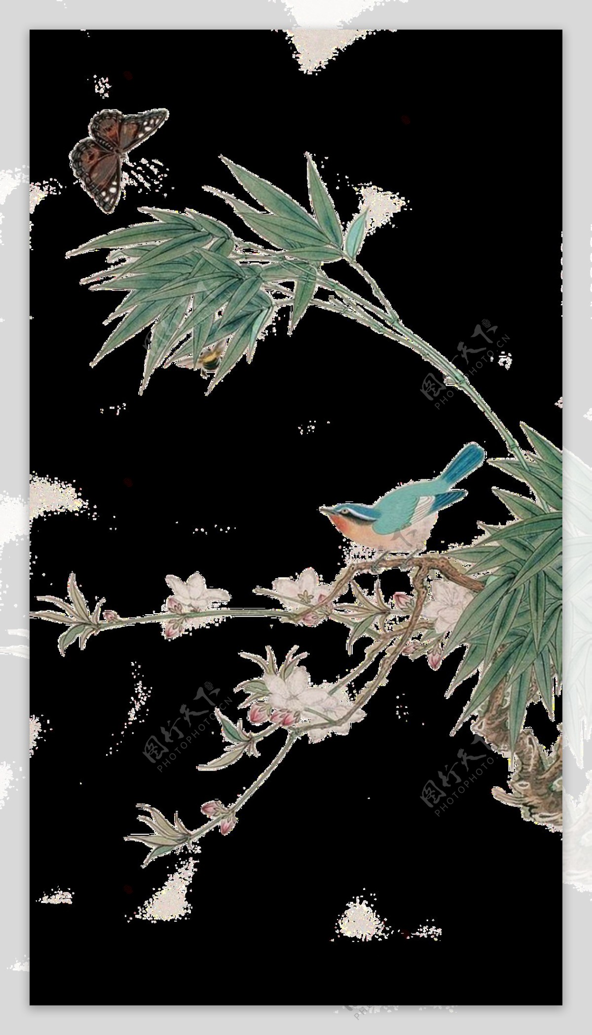 手绘花鸟画透明装饰素材