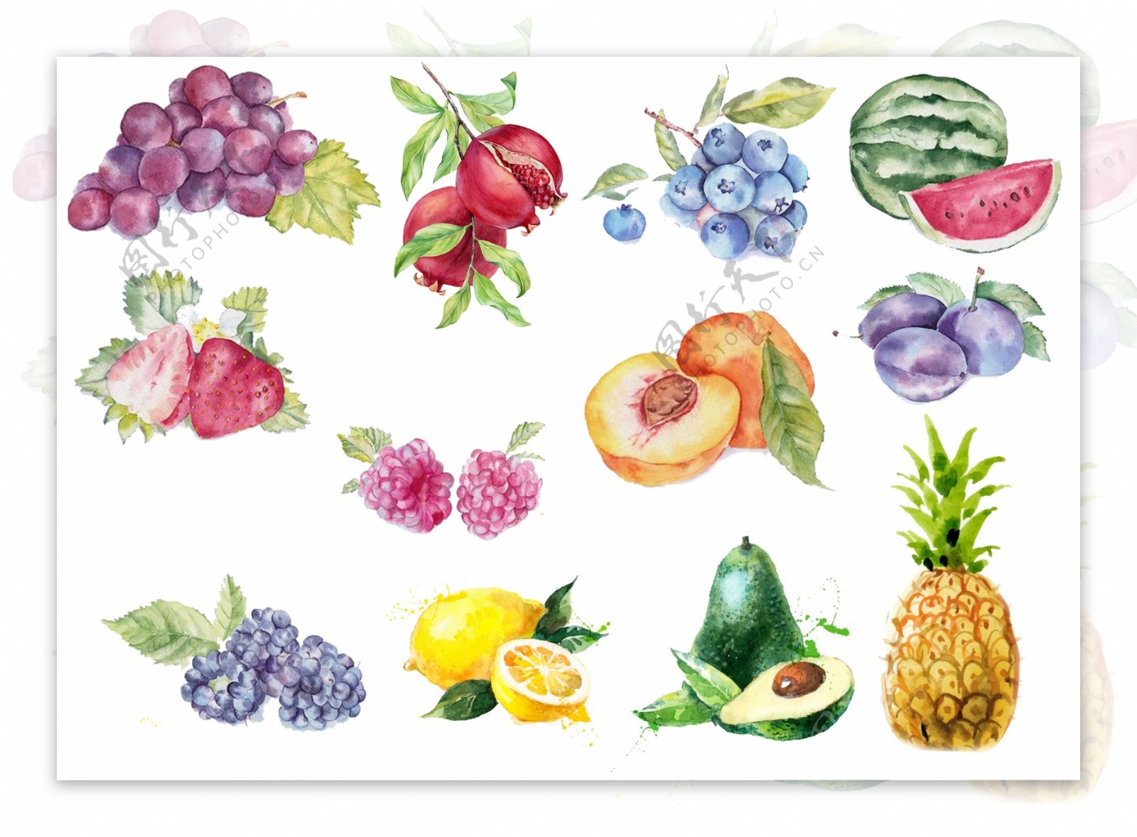 手绘水果装饰图案