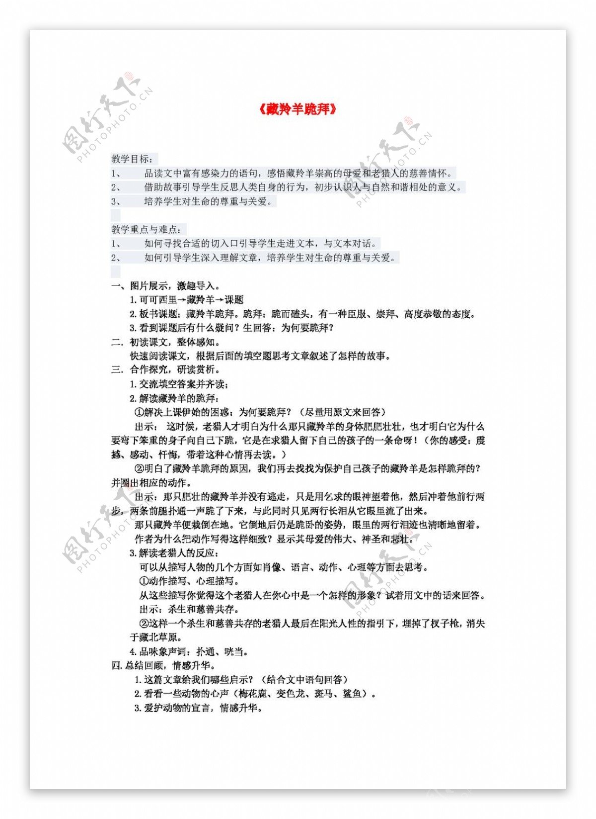 语文沪教版六年级上语文教学设计藏羚羊跪拜