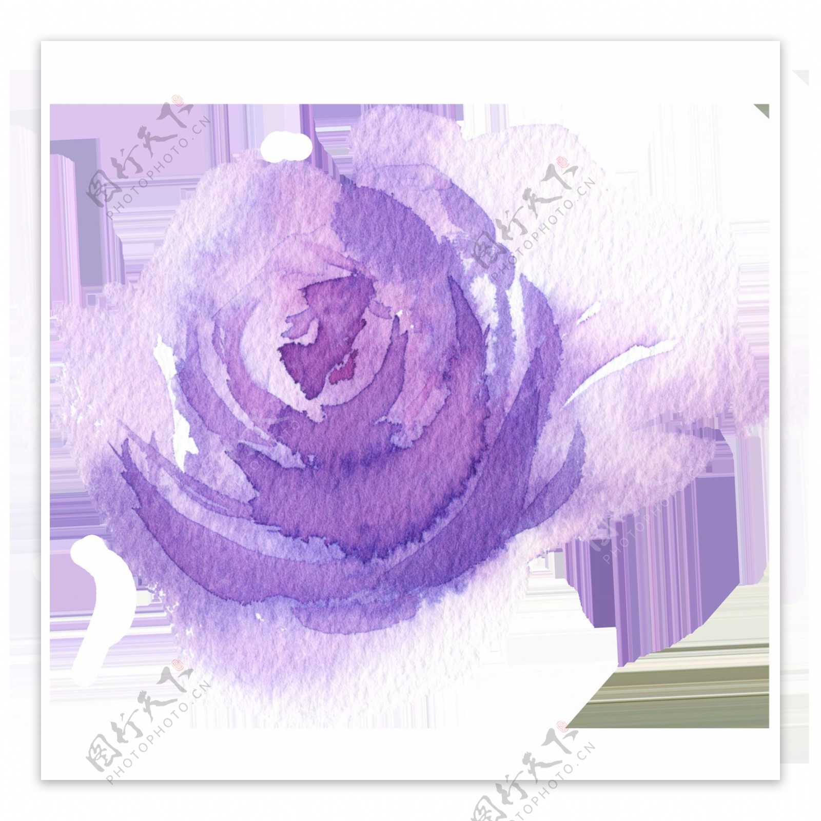 手绘一朵渲染花卉PNG透明素材