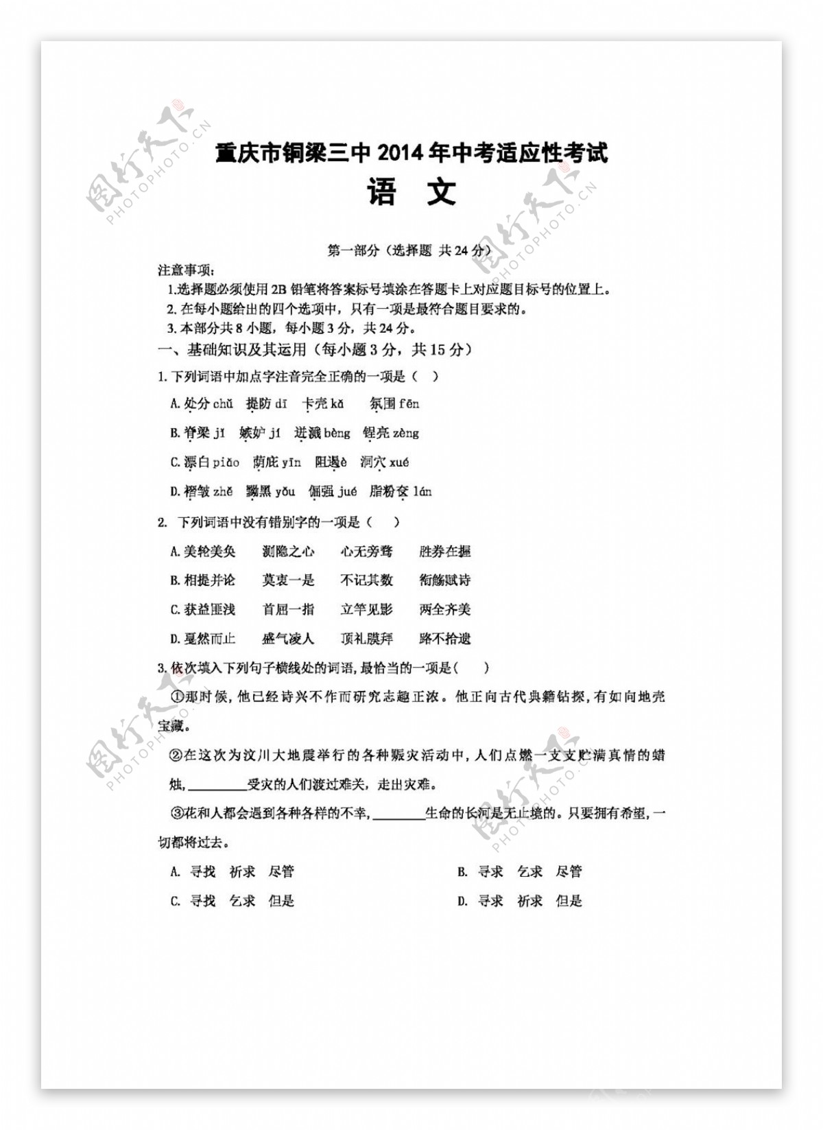 语文苏教版中考适应性考试九年级语文3