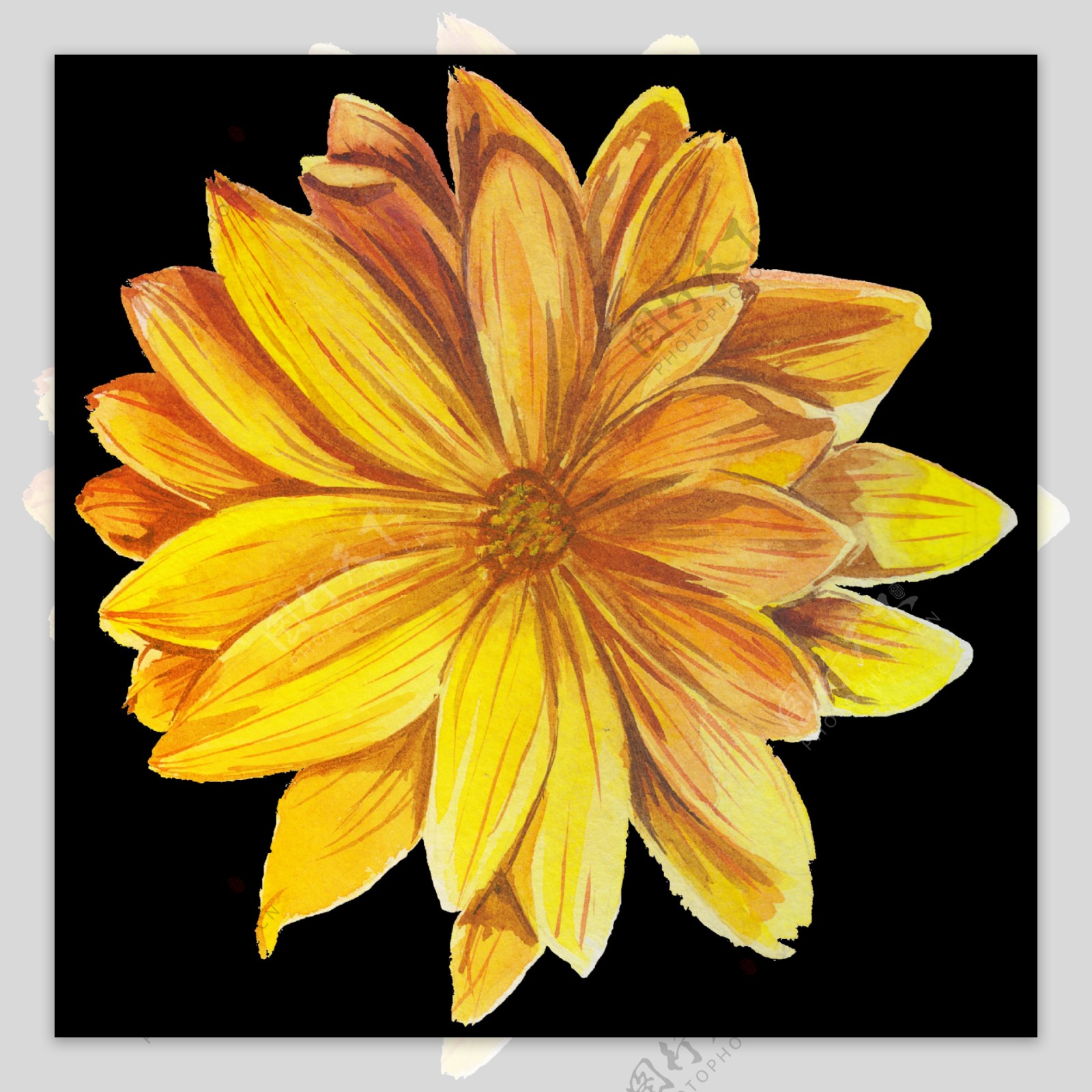 清新深黄色手绘菊花装饰元素