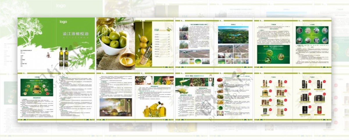 橄榄油绿色产品企业宣传画册