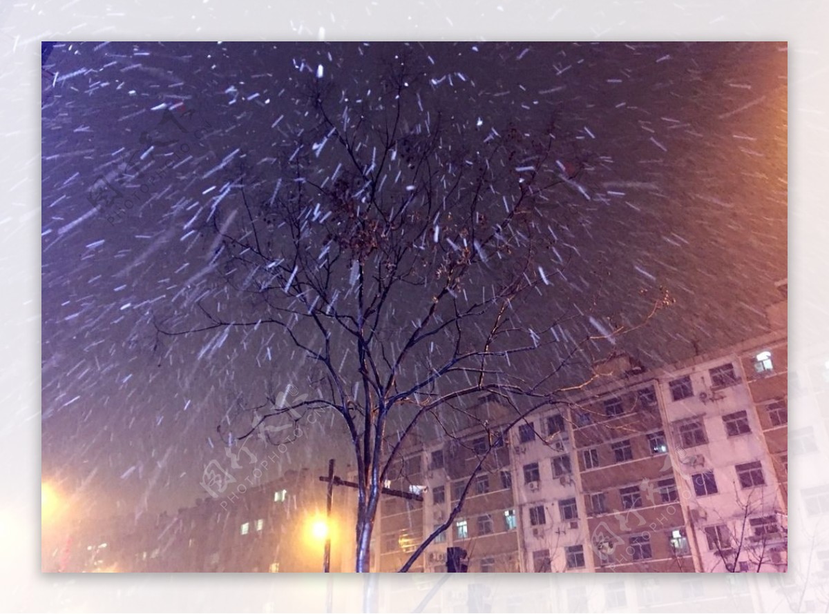 下雪的夜晚