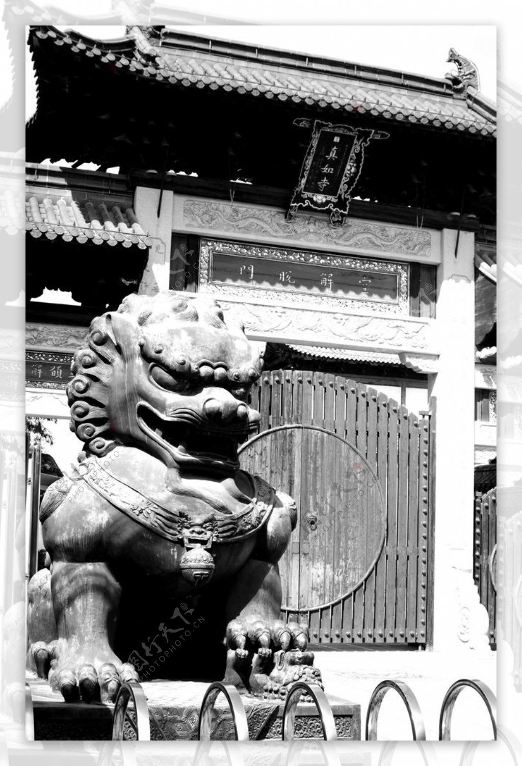 上海真如寺石狮子