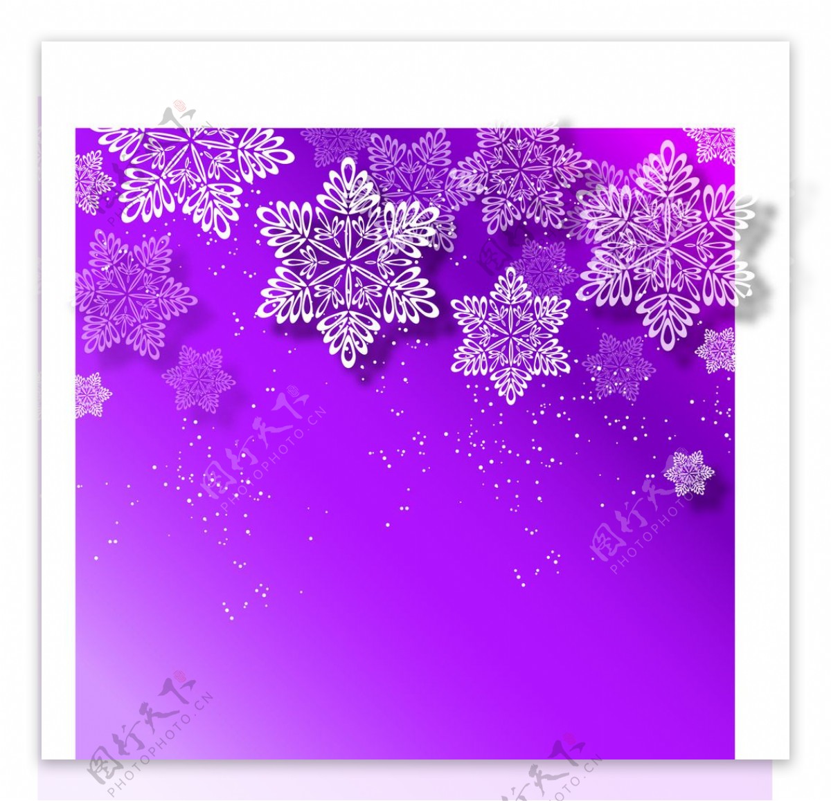 紫色雪花