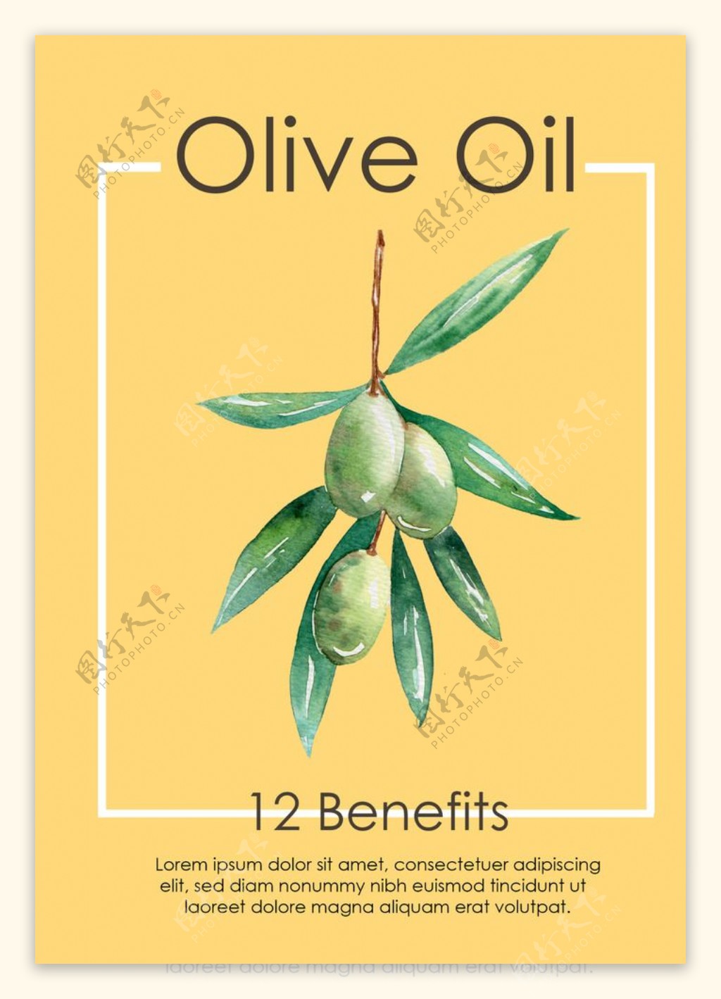 水彩橄榄油海报