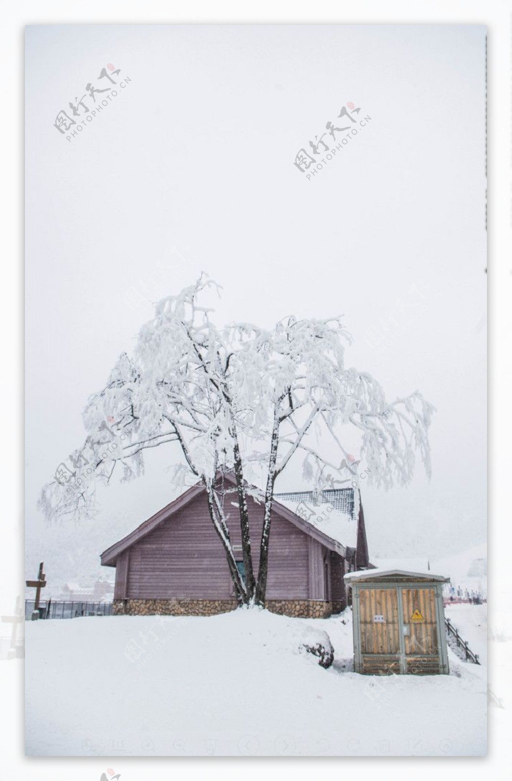 雪景