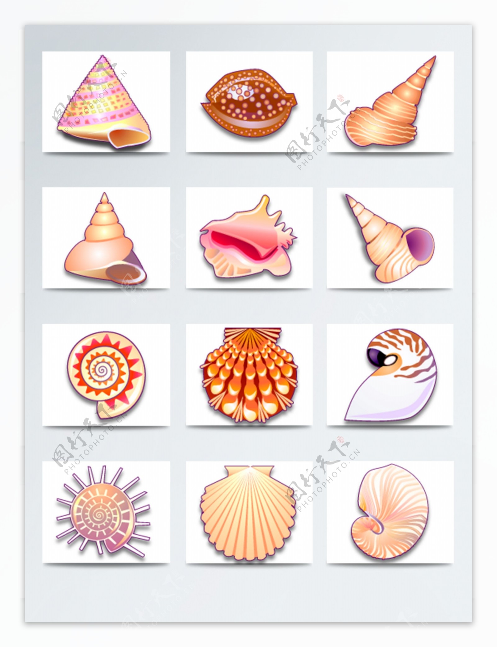 海洋彩色海螺贝壳图标素材