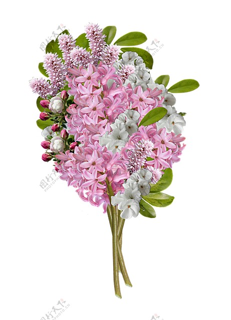雅致淡粉色花朵花束实物元素