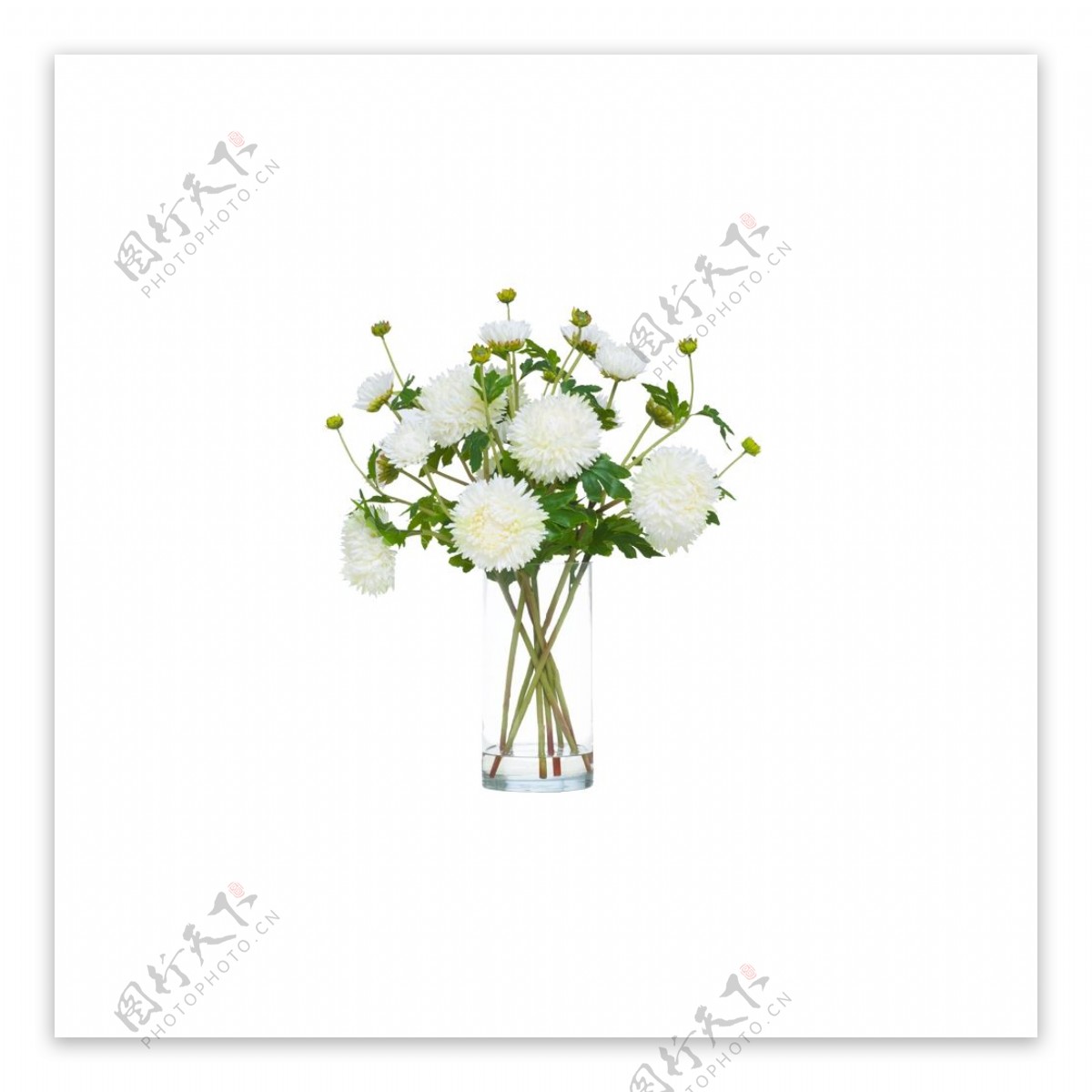 清新春节白色花朵花束实物元素
