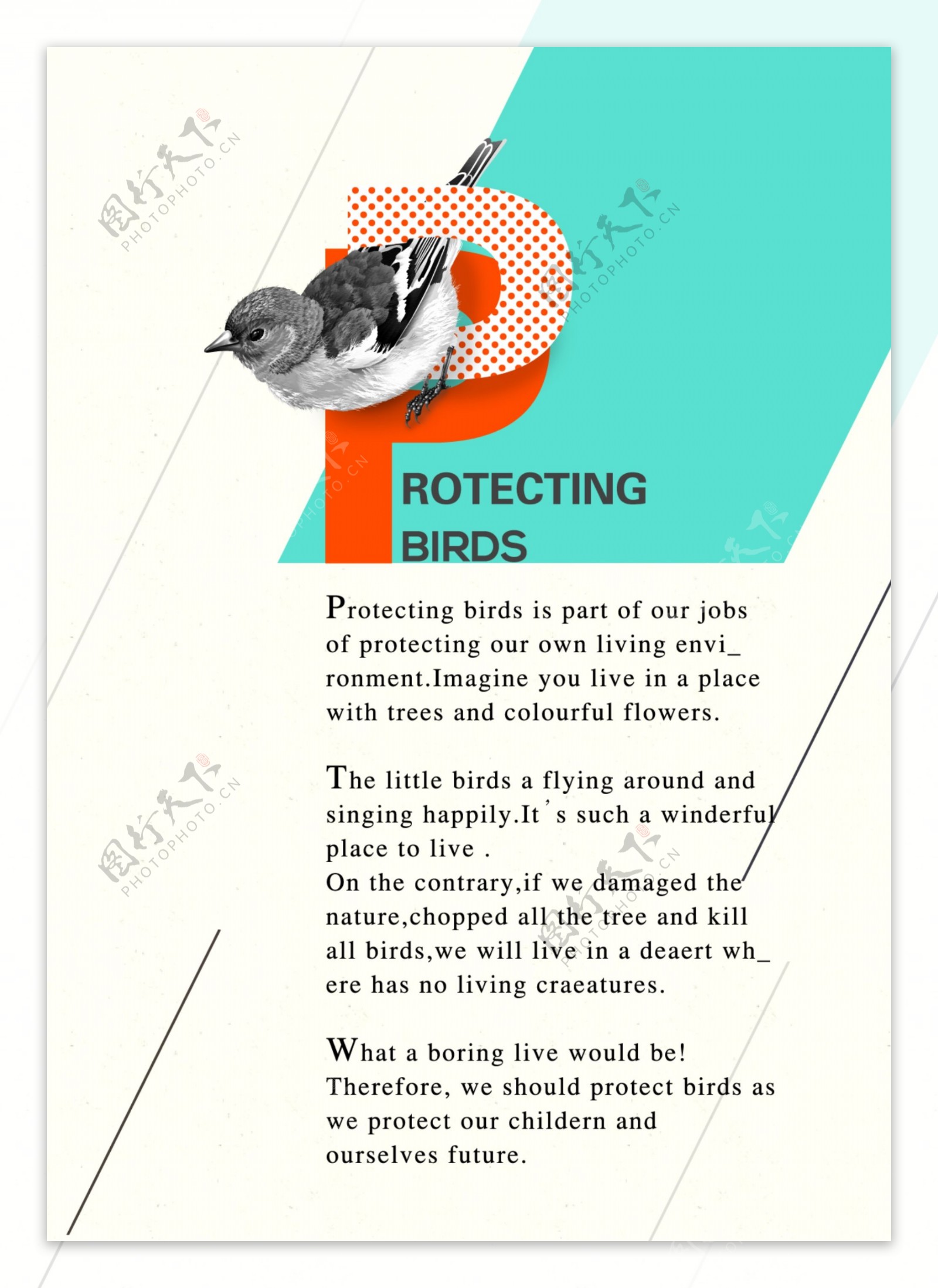 保护鸟类保护环境书籍排版设计小鸟海报