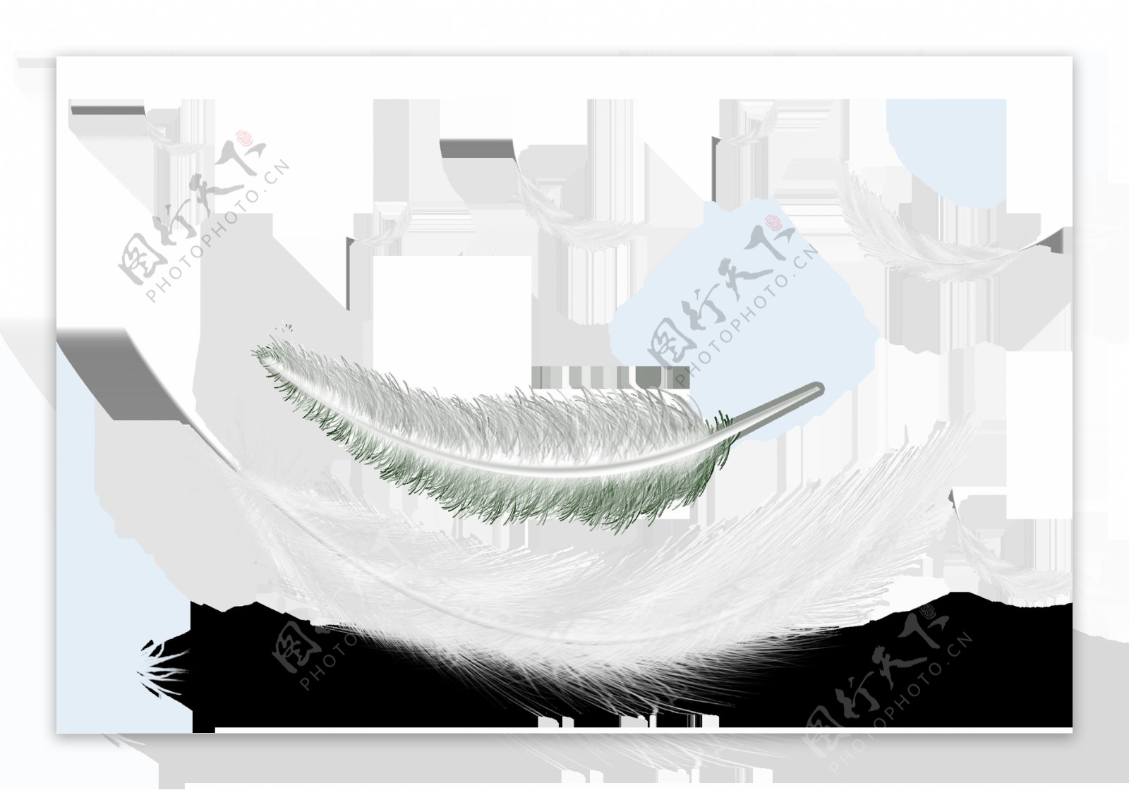 白色色羽毛图案PNG元素