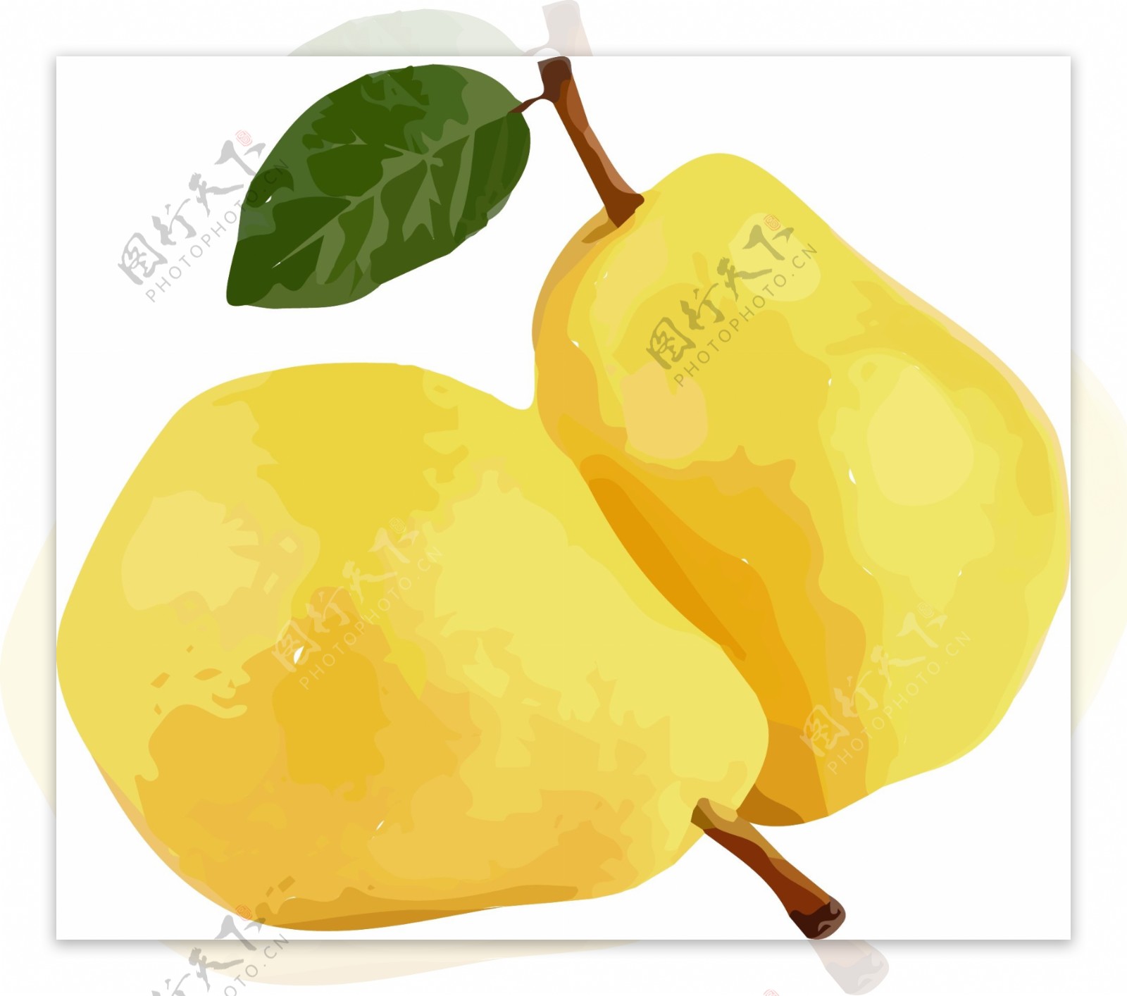 插画手绘黄色梨矢量图案水果素材