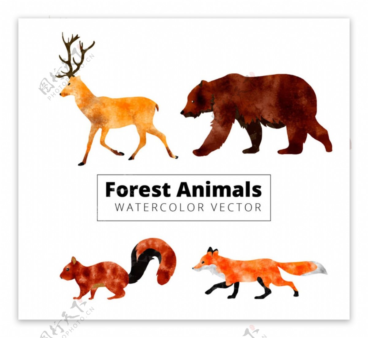 水彩绘动感森林动物矢量图