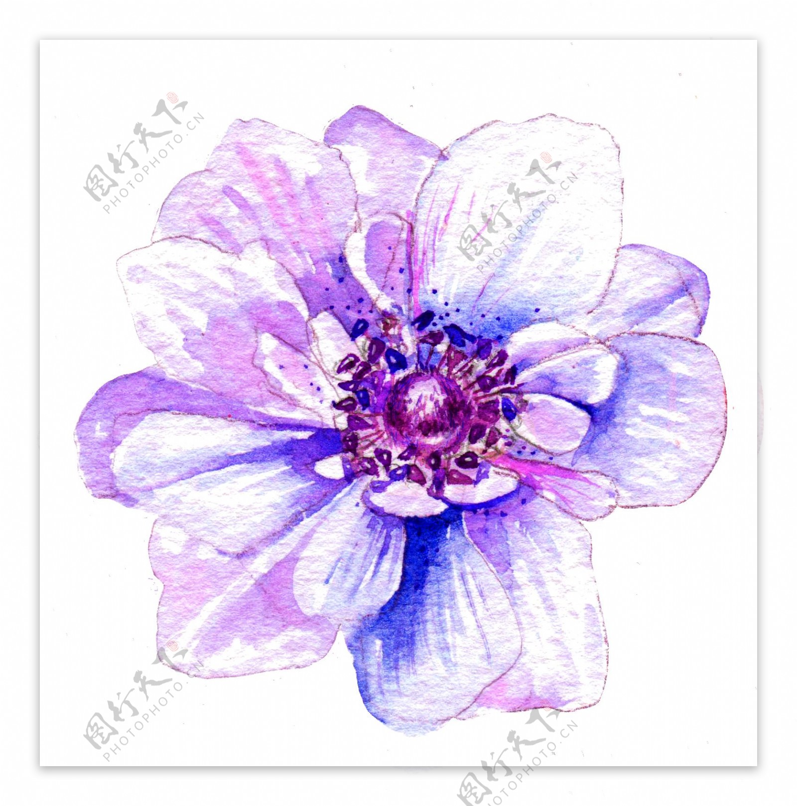 淡紫色水晶花透明素材png