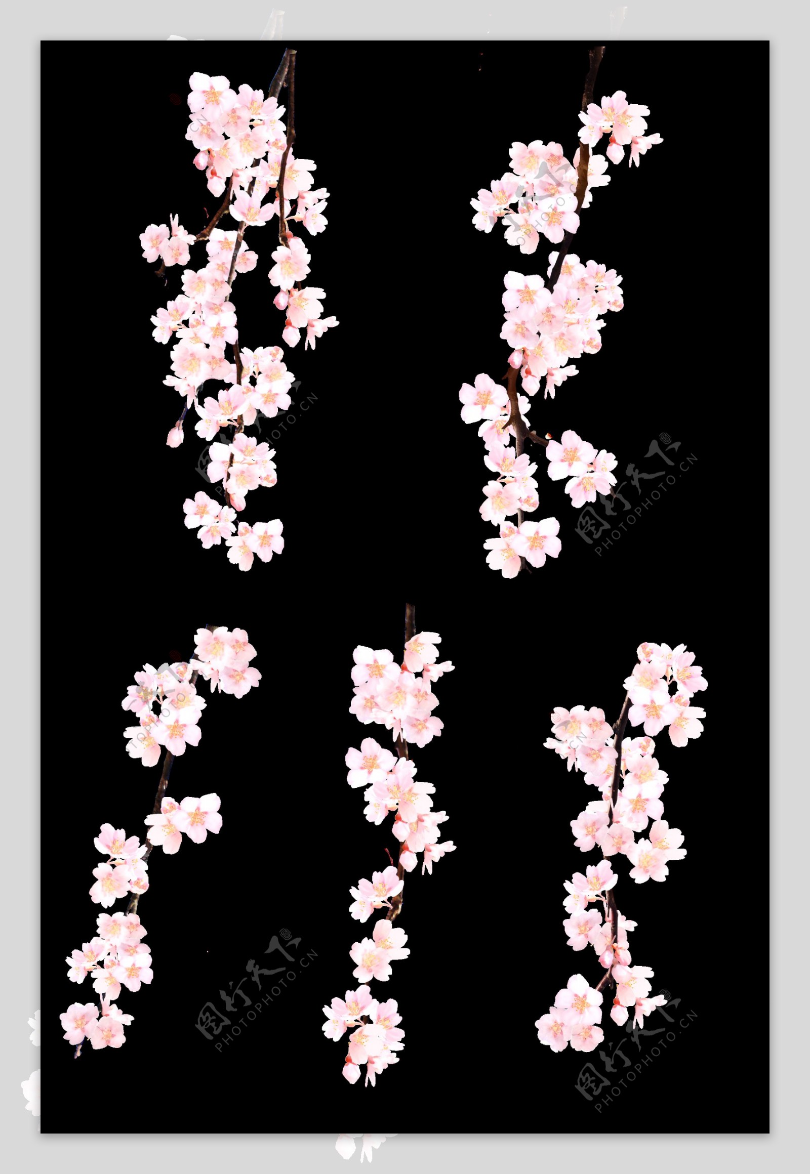 粉色桃花装饰png元素