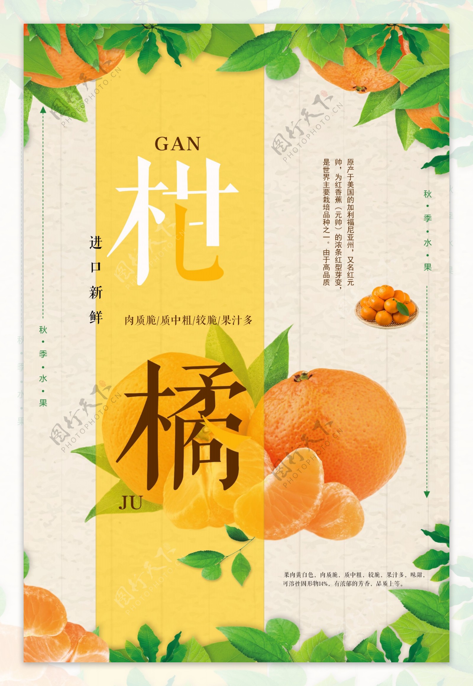 新鲜美味橘子柑橘水果海报