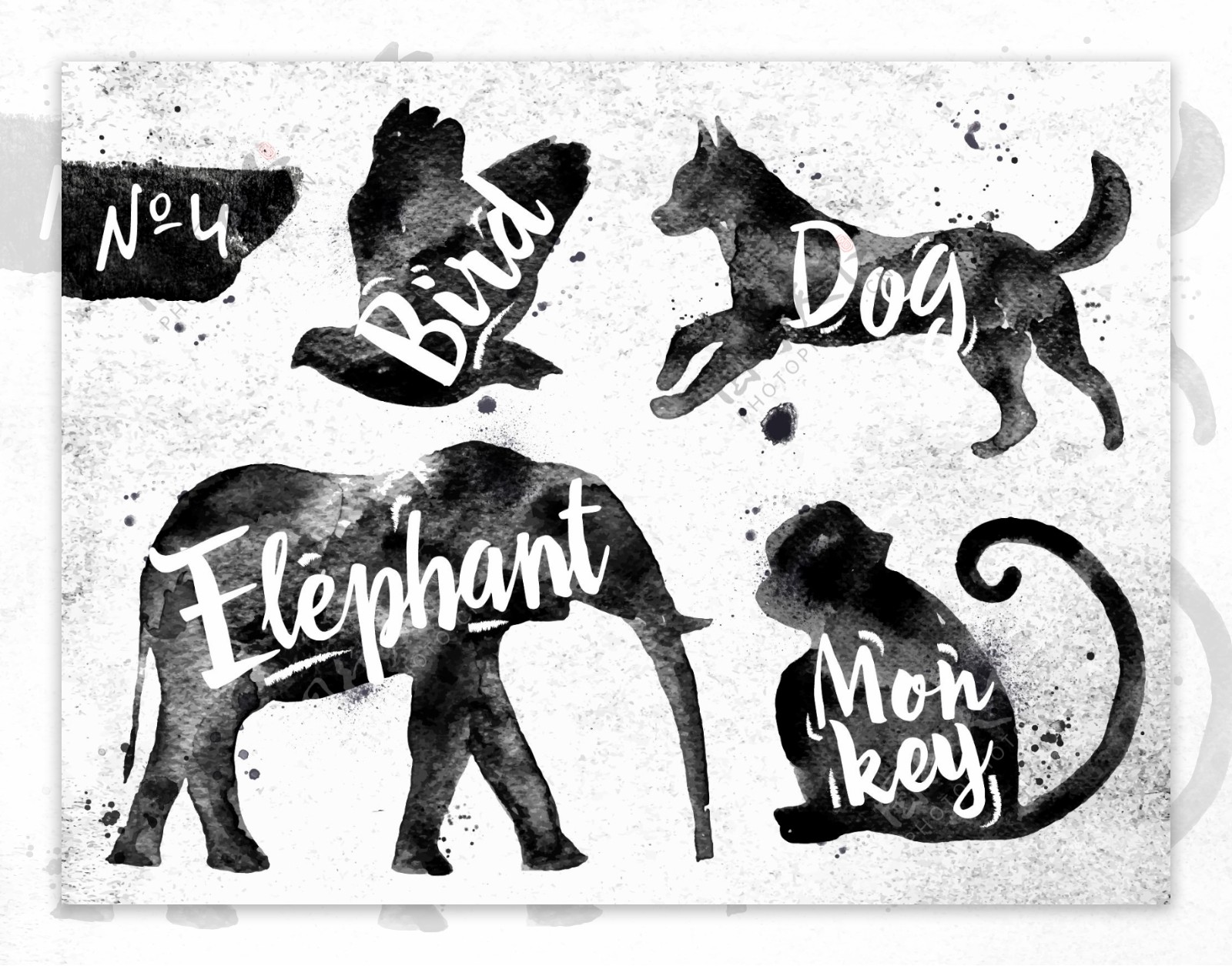 黑白水彩绘动物插画