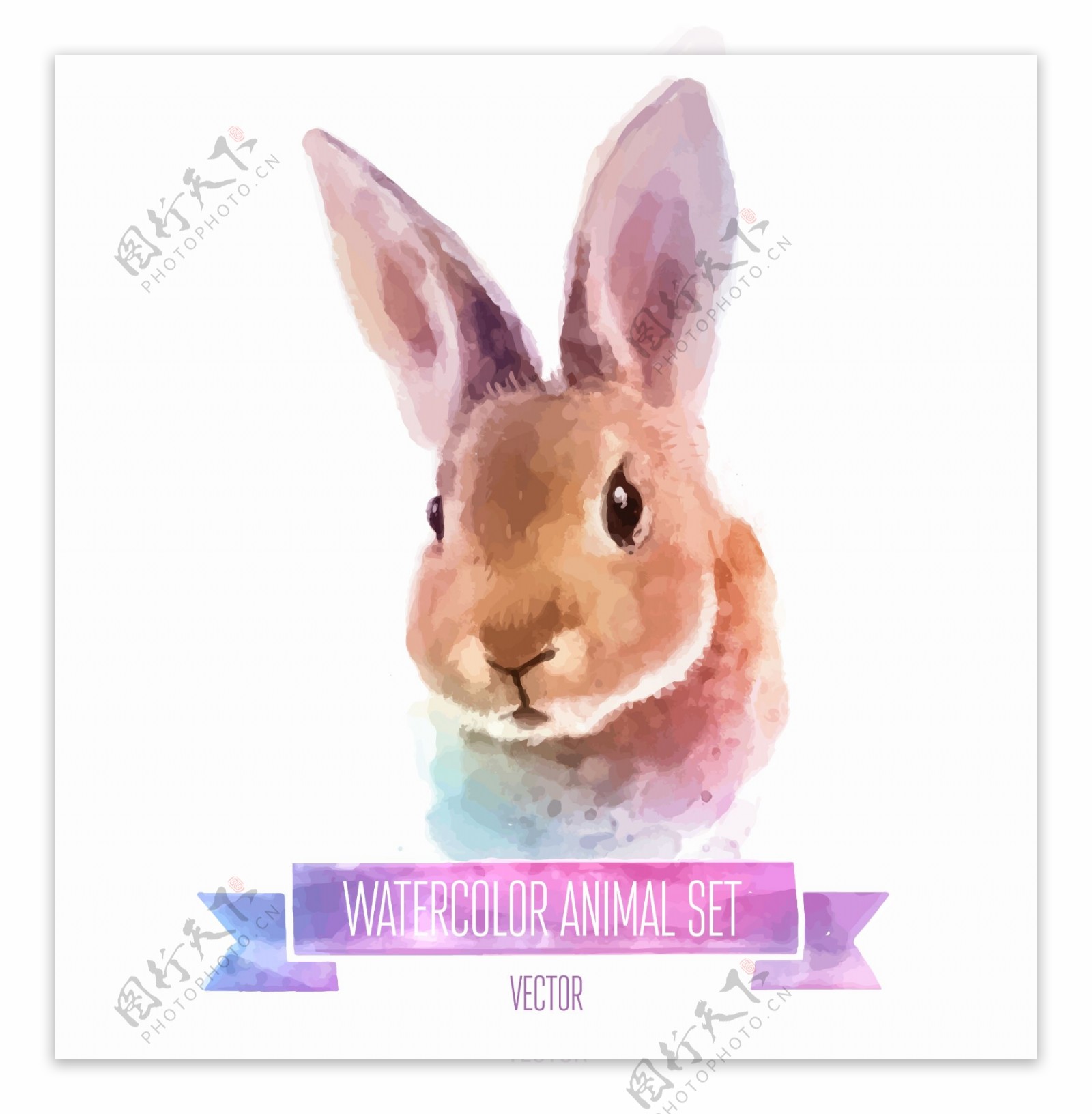 水彩绘可爱的兔子插画