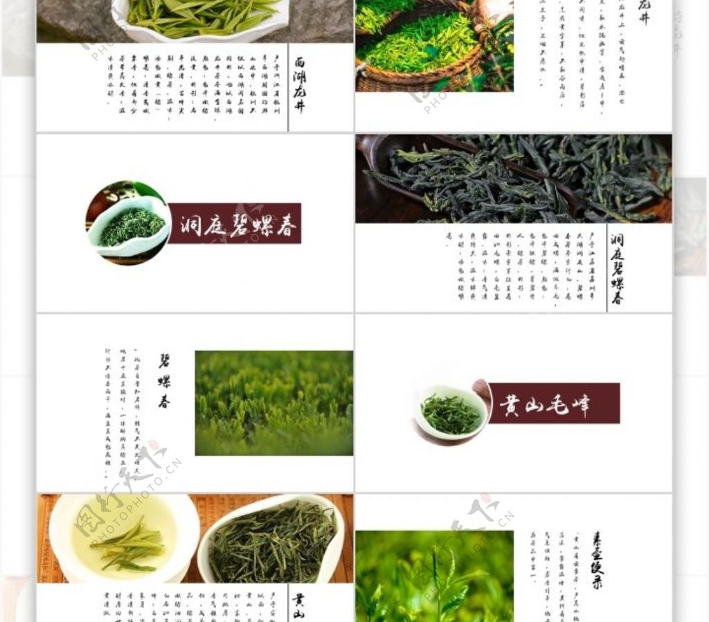 绿色棕色简约茶文化茶品种介绍PPT模板