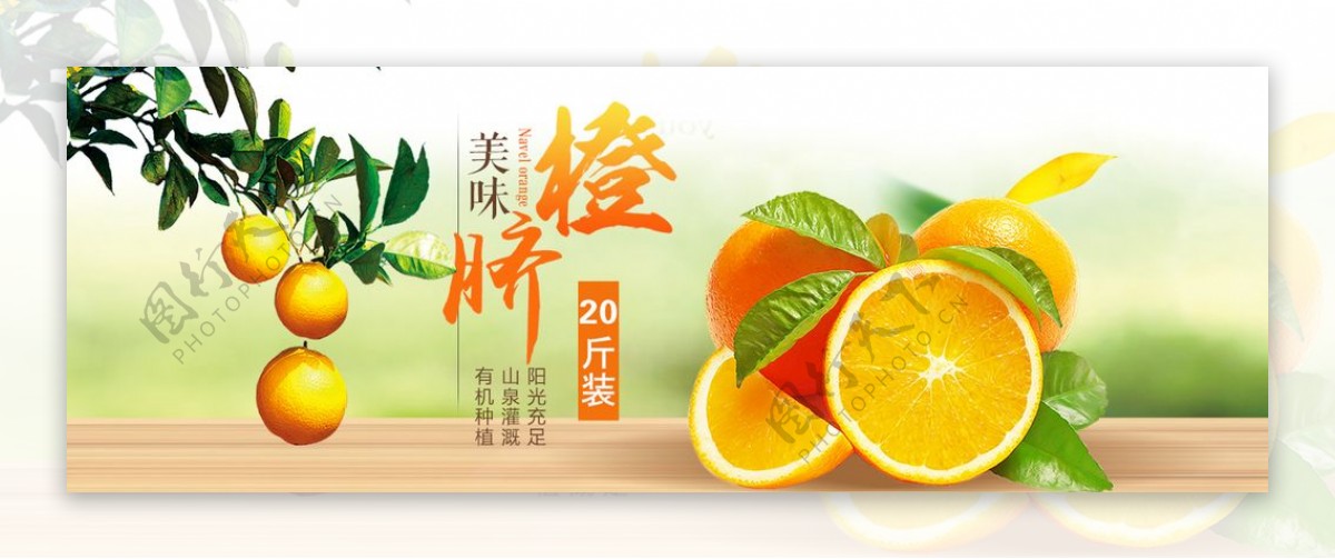 banner橙子脐橙