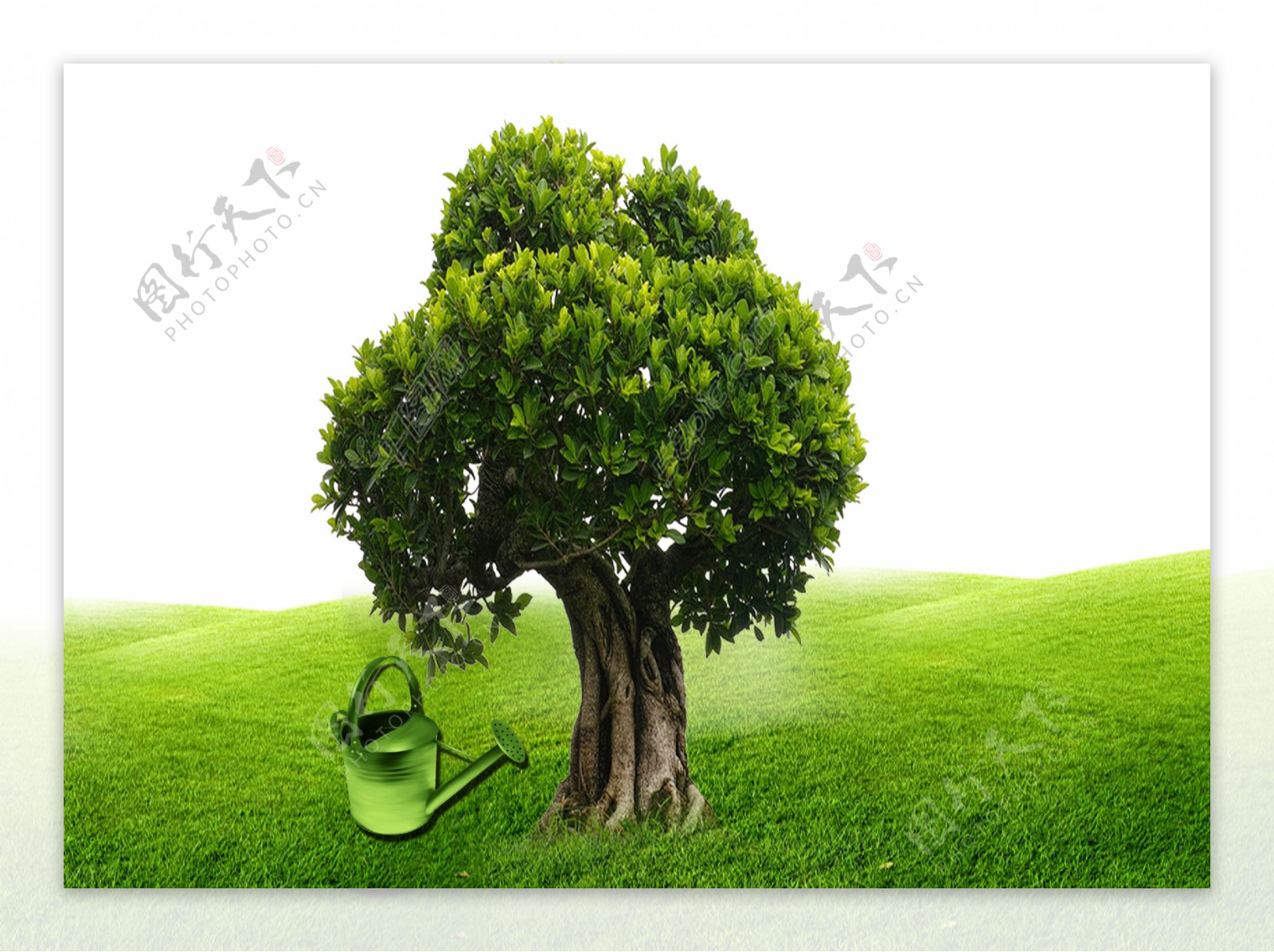 卡通绿色大树草坪png元素