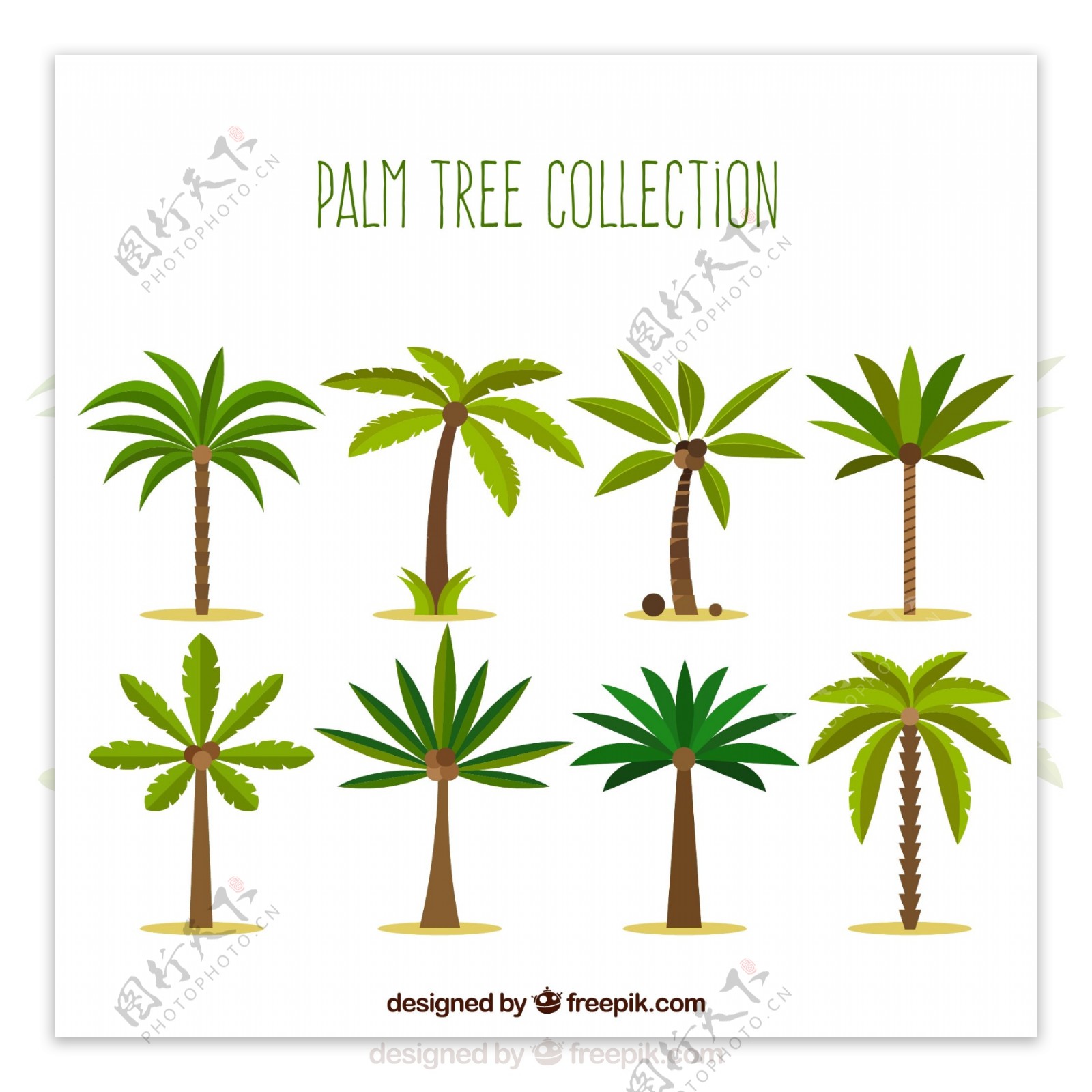 8款绿色棕榈树设计矢量素材