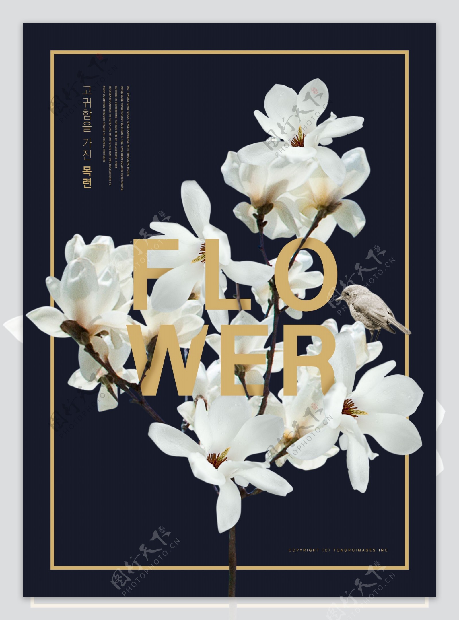 韩系黑色白花边框海报设计
