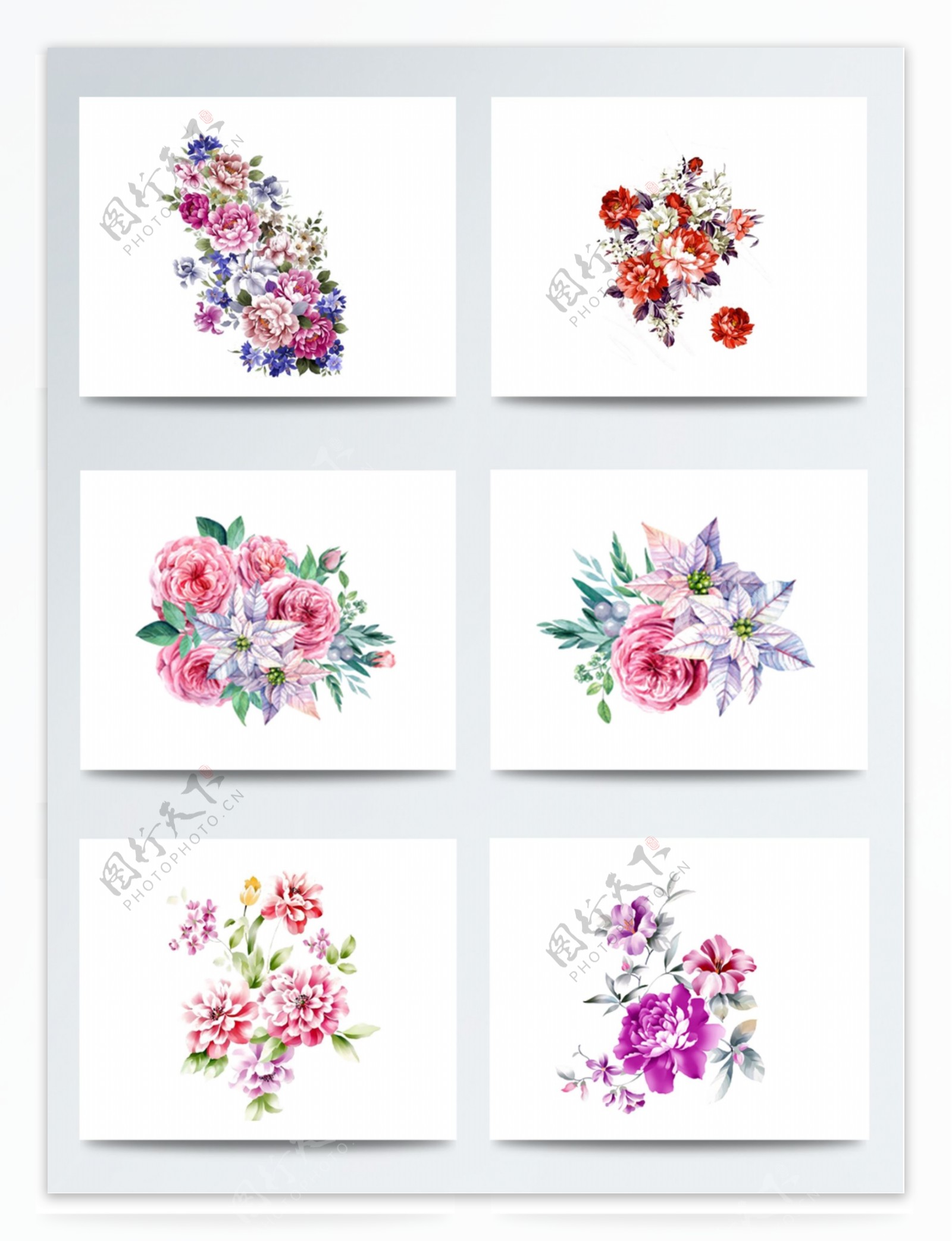 装饰水彩花卉图案