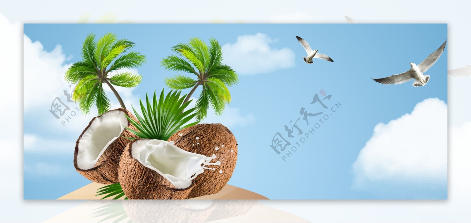 椰子树海鸥冰块banner背景图