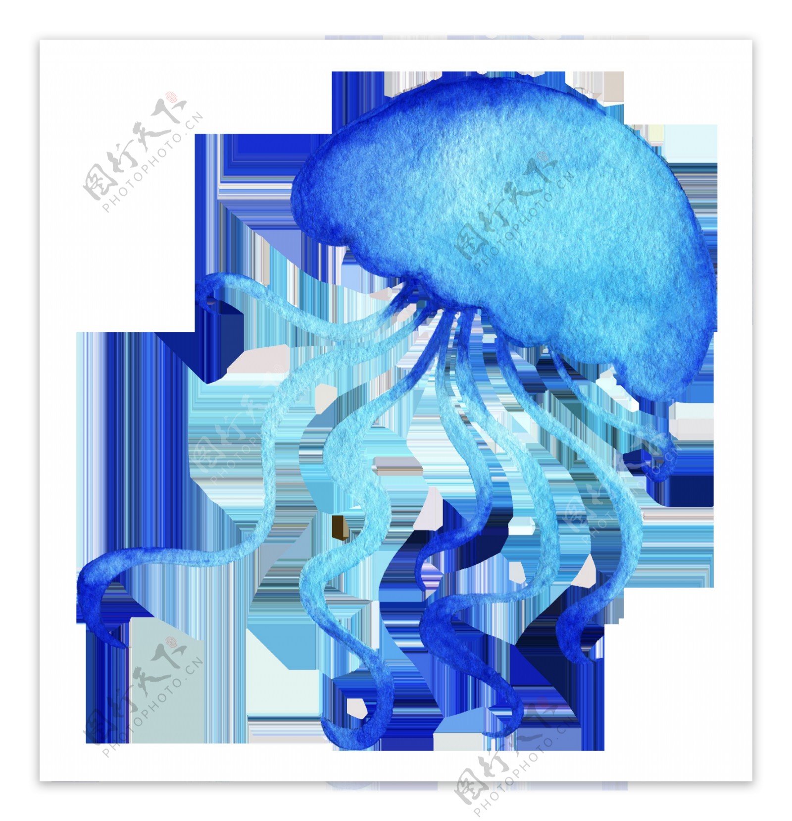 水彩蓝色海底生物免扣素材合集