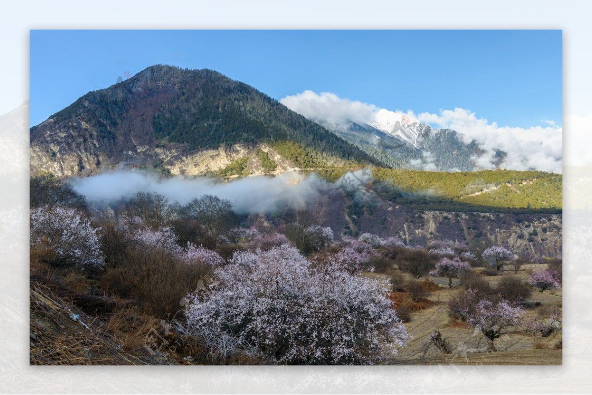 雪山