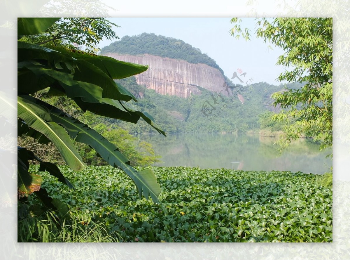 青山绿水