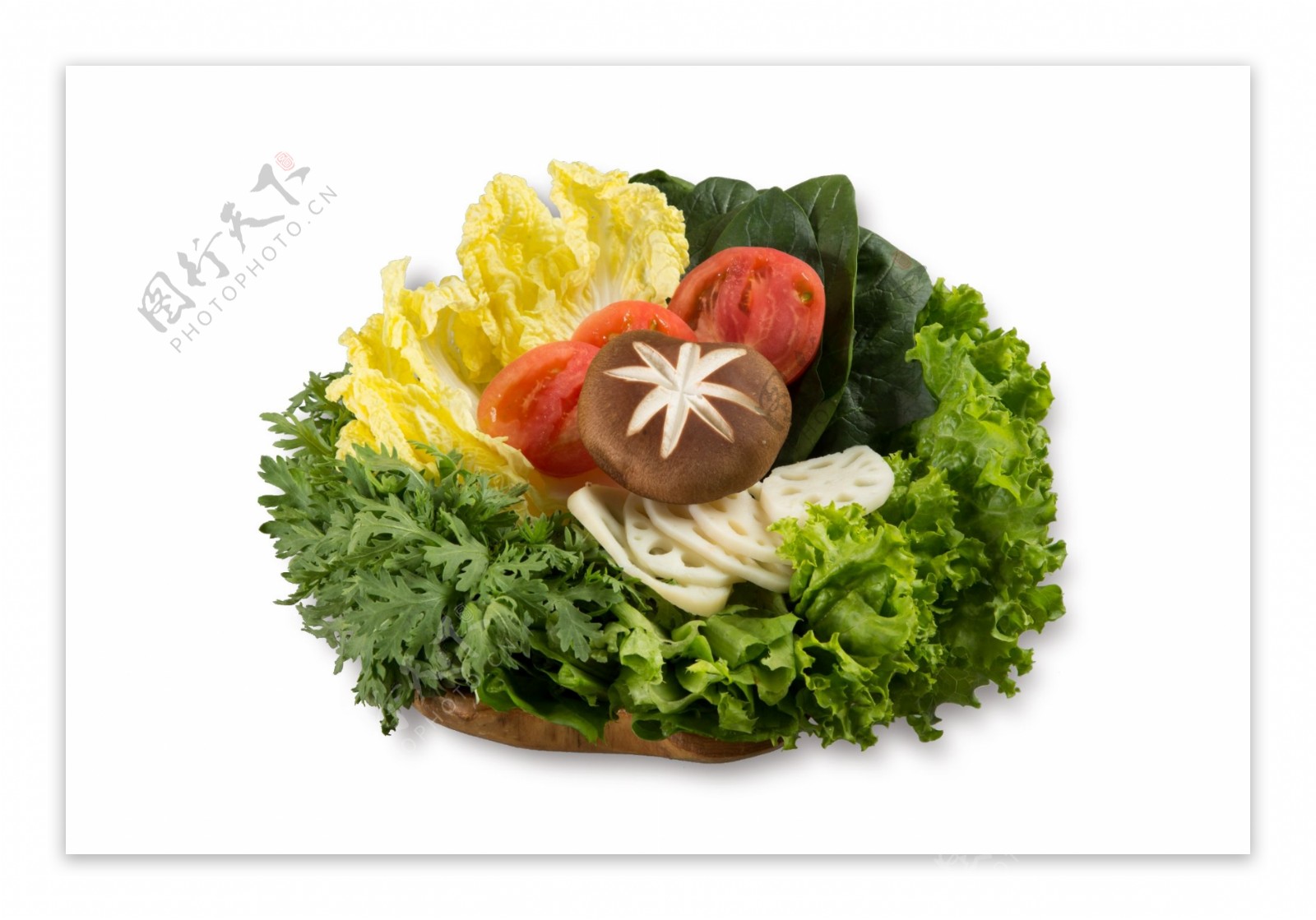 蔬菜拼贴画 库存图片. 图片 包括有 胡椒, 沙拉, 唐莴苣, 圆白菜, 朝鲜蓟, 绿色, 玉米, 瑞士 - 64504151