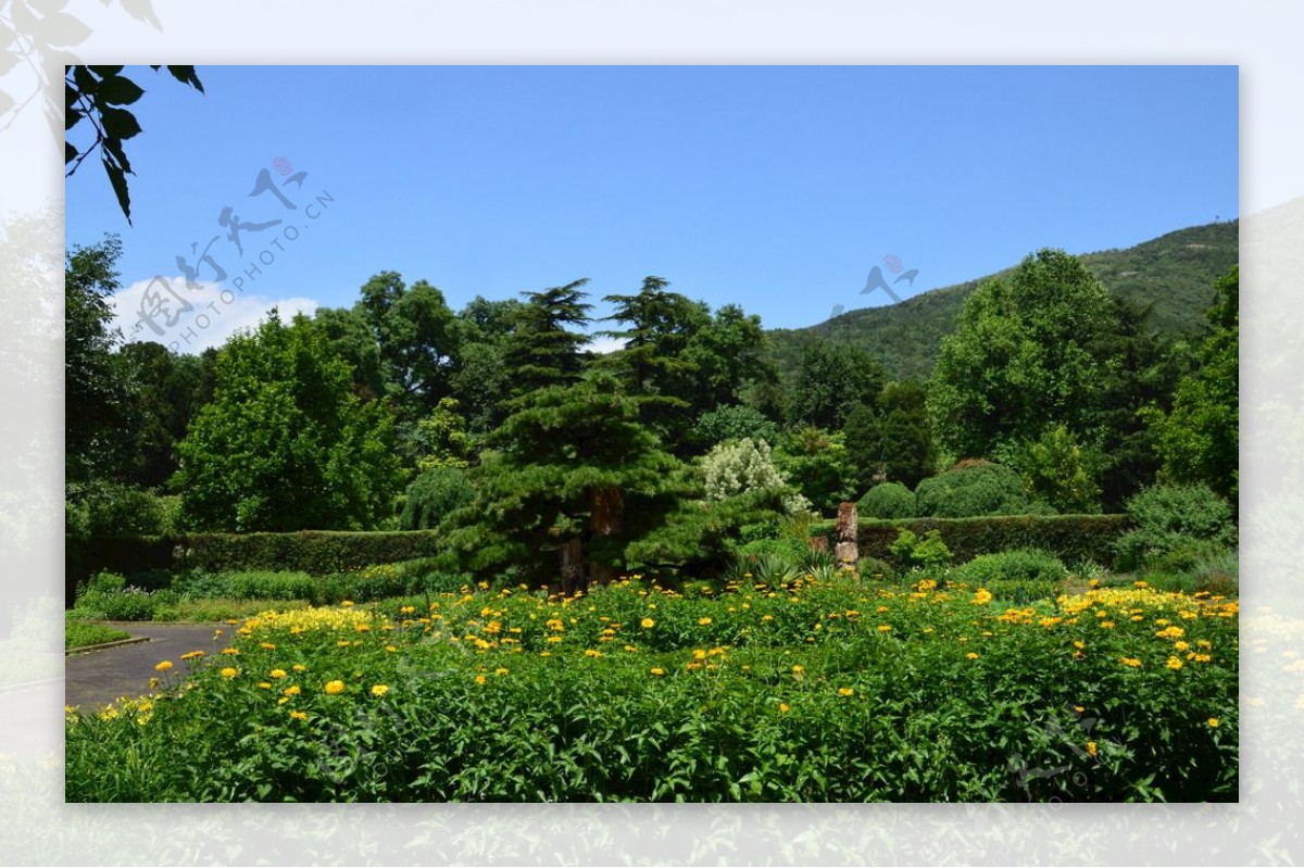 植物园风景