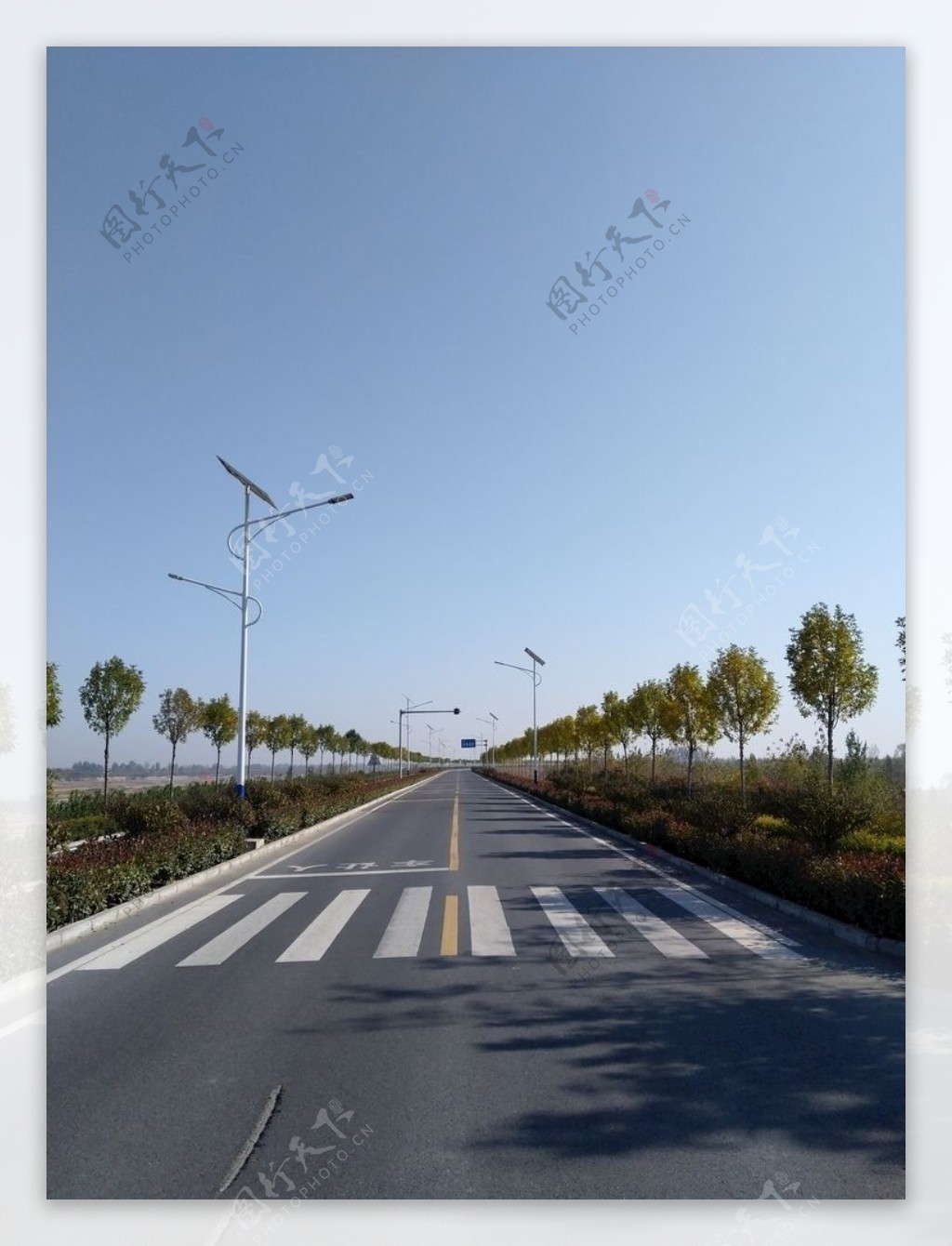 乡村道路风景