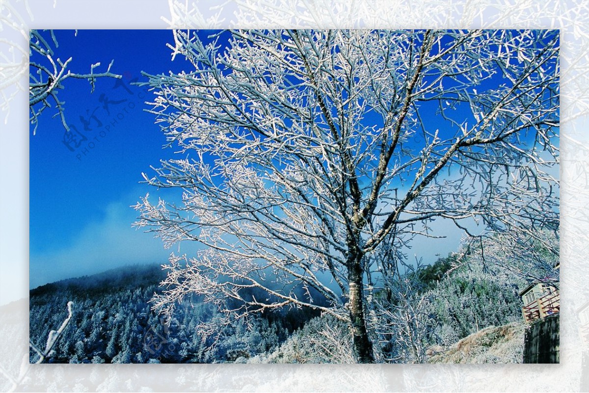 雪景